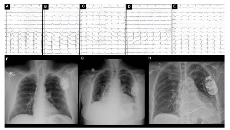 Biomedicines 11 00350 g005