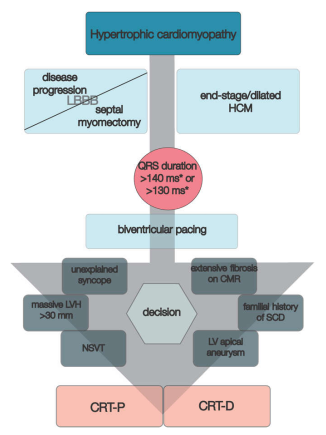 Biomedicines 11 00350 g006
