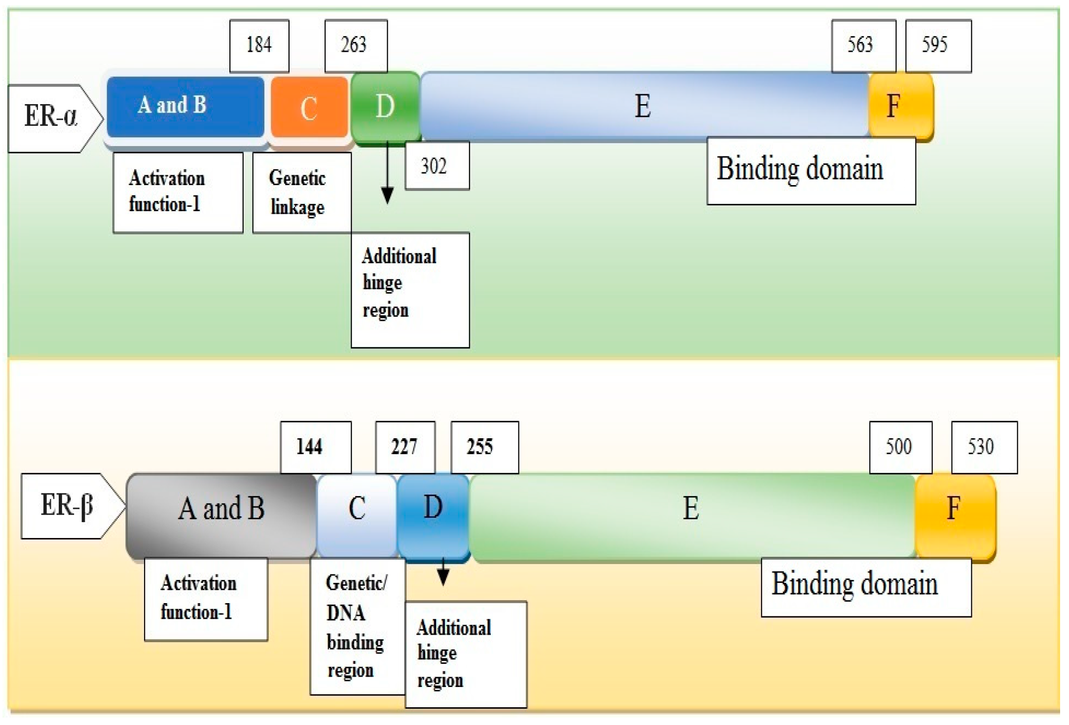 Biomedicines 11 00354 g003 Biomedicines 11 00354 g003
