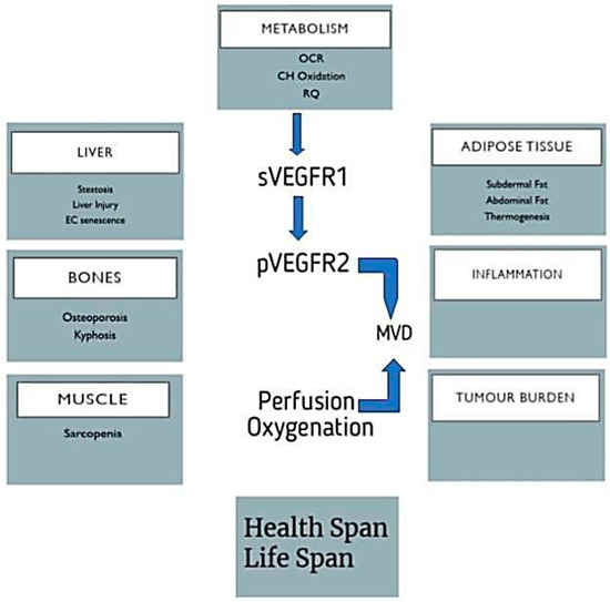 Fiber | Transceivers - AddOn Networks
