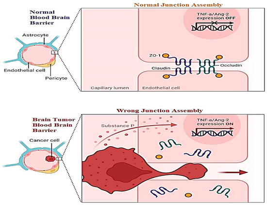 Particle Nanoarchitectonics for Nanomedicine and