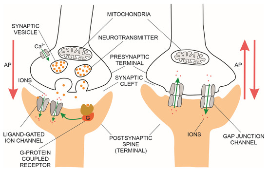 グルート Detecting Early Cognitive Decline in Alzheimer's Disease