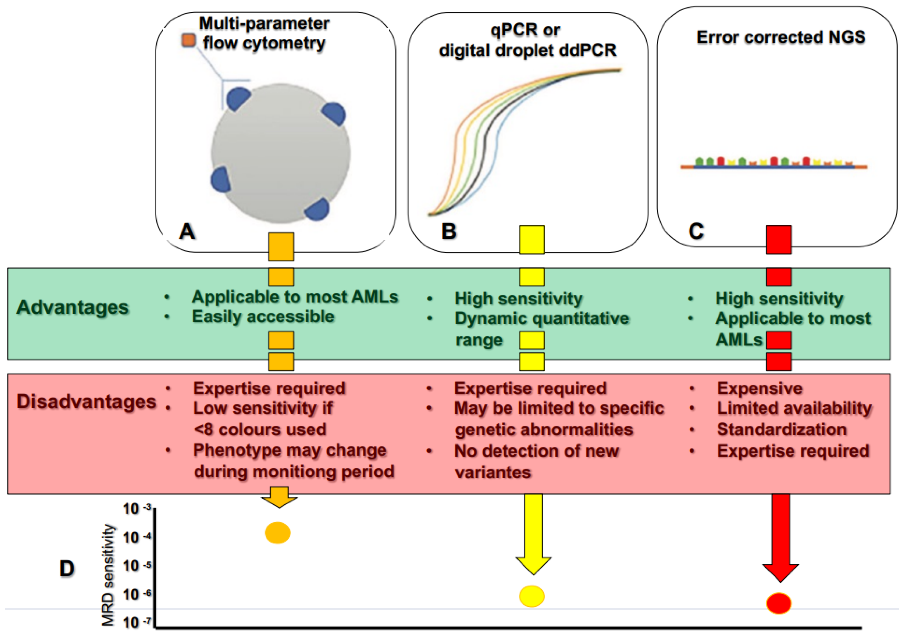 Biomedicines 11 00359 g001