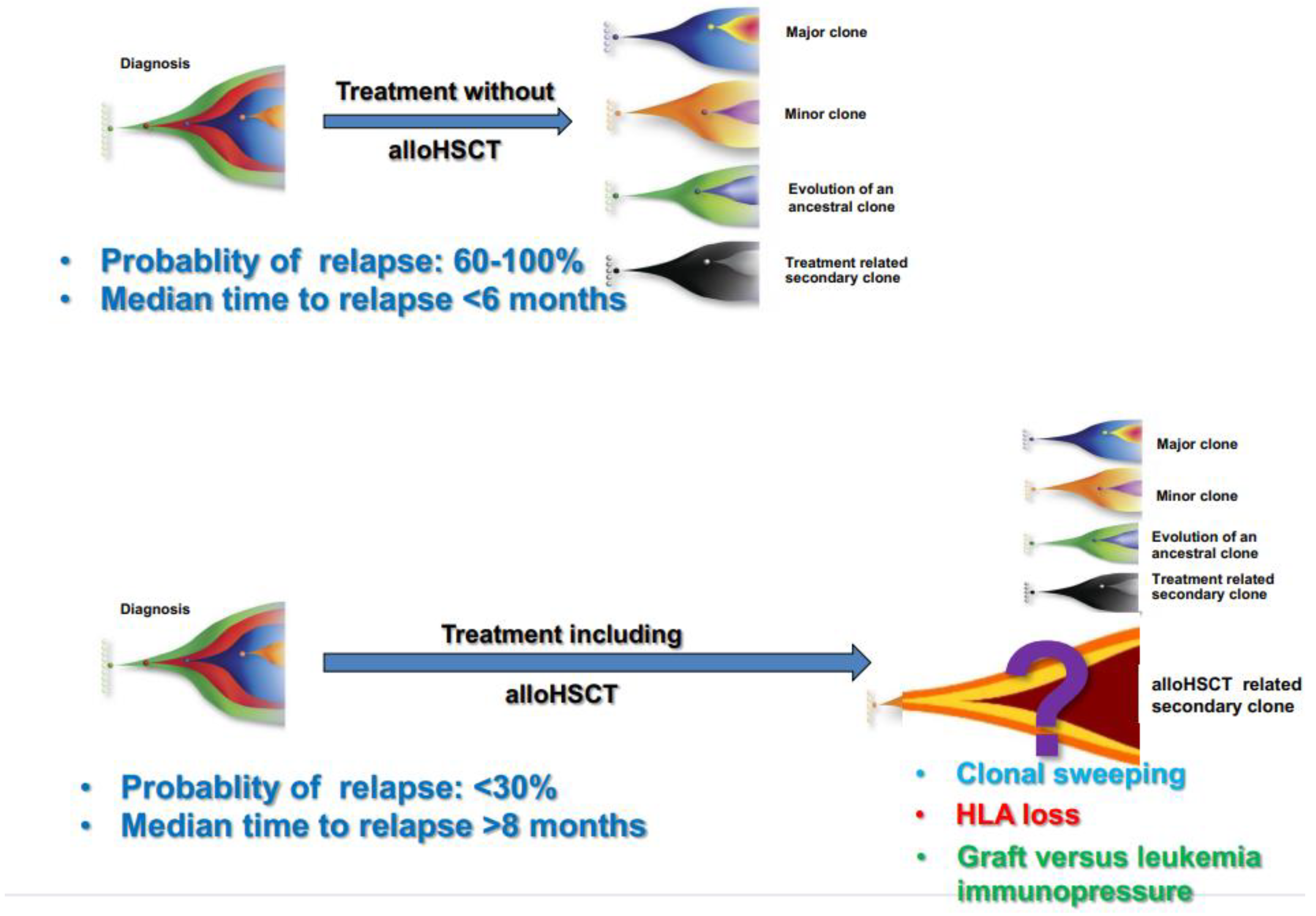 Biomedicines 11 00359 g003