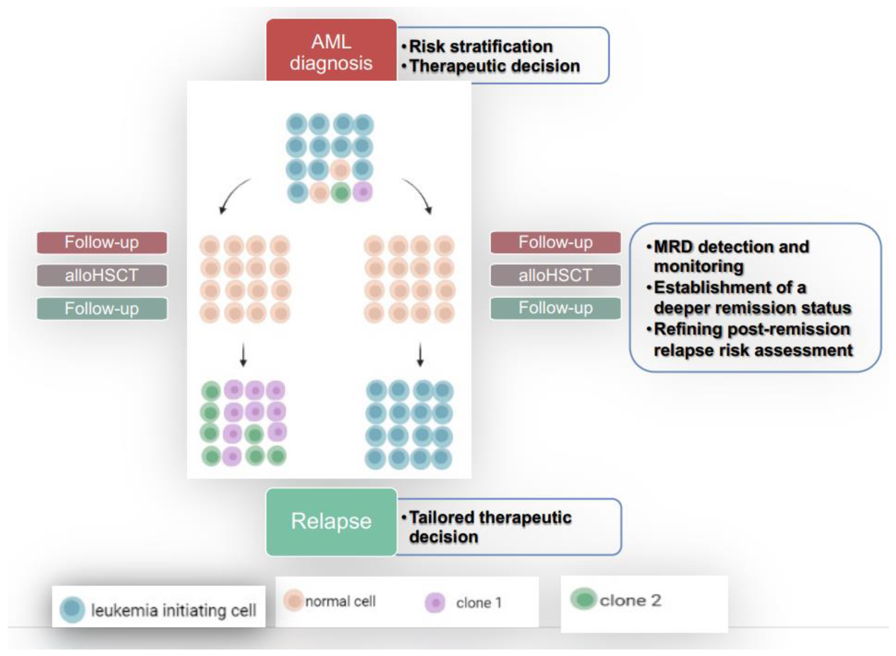 Biomedicines 11 00359 g004