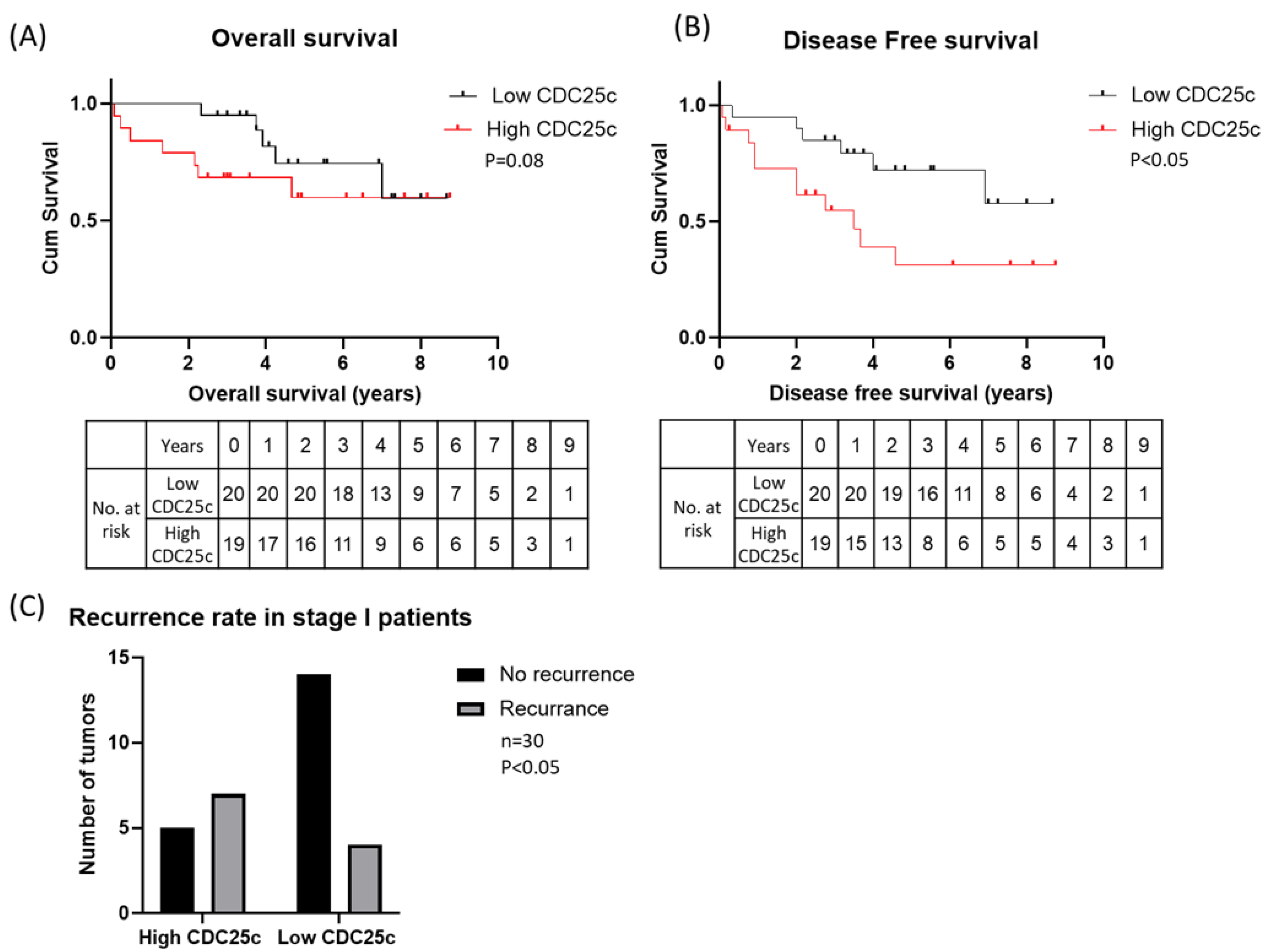 Biomedicines 11 00362 g003
