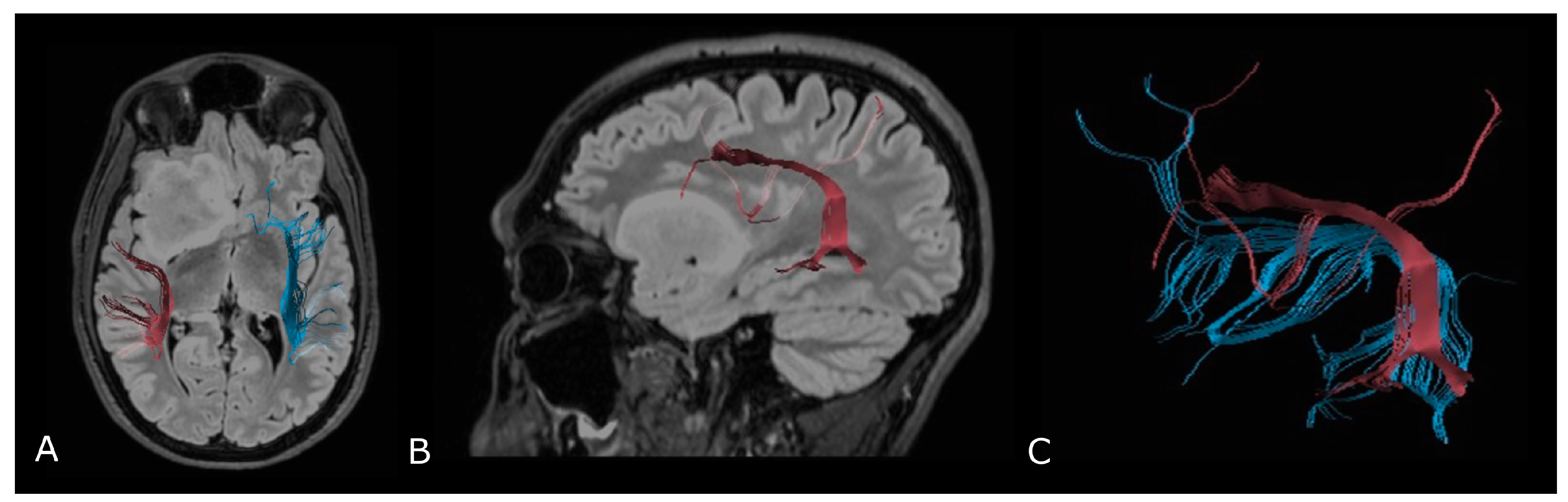 Biomedicines 11 00364 g007 Biomedicines 11 00364 g007