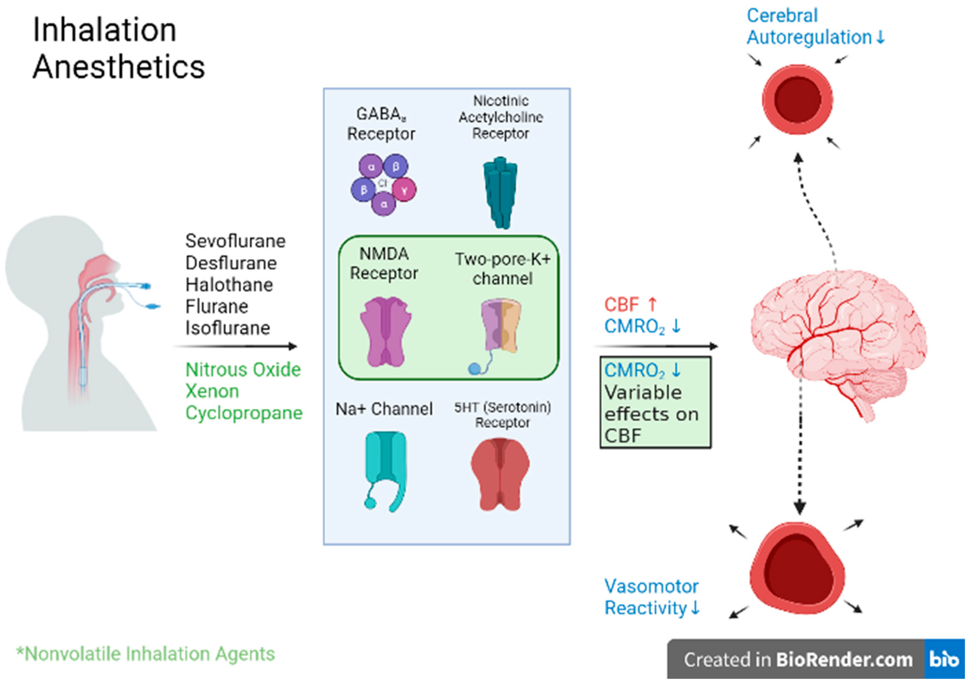 Biomedicines Free FullText Neurosurgical Anesthesia Optimizing