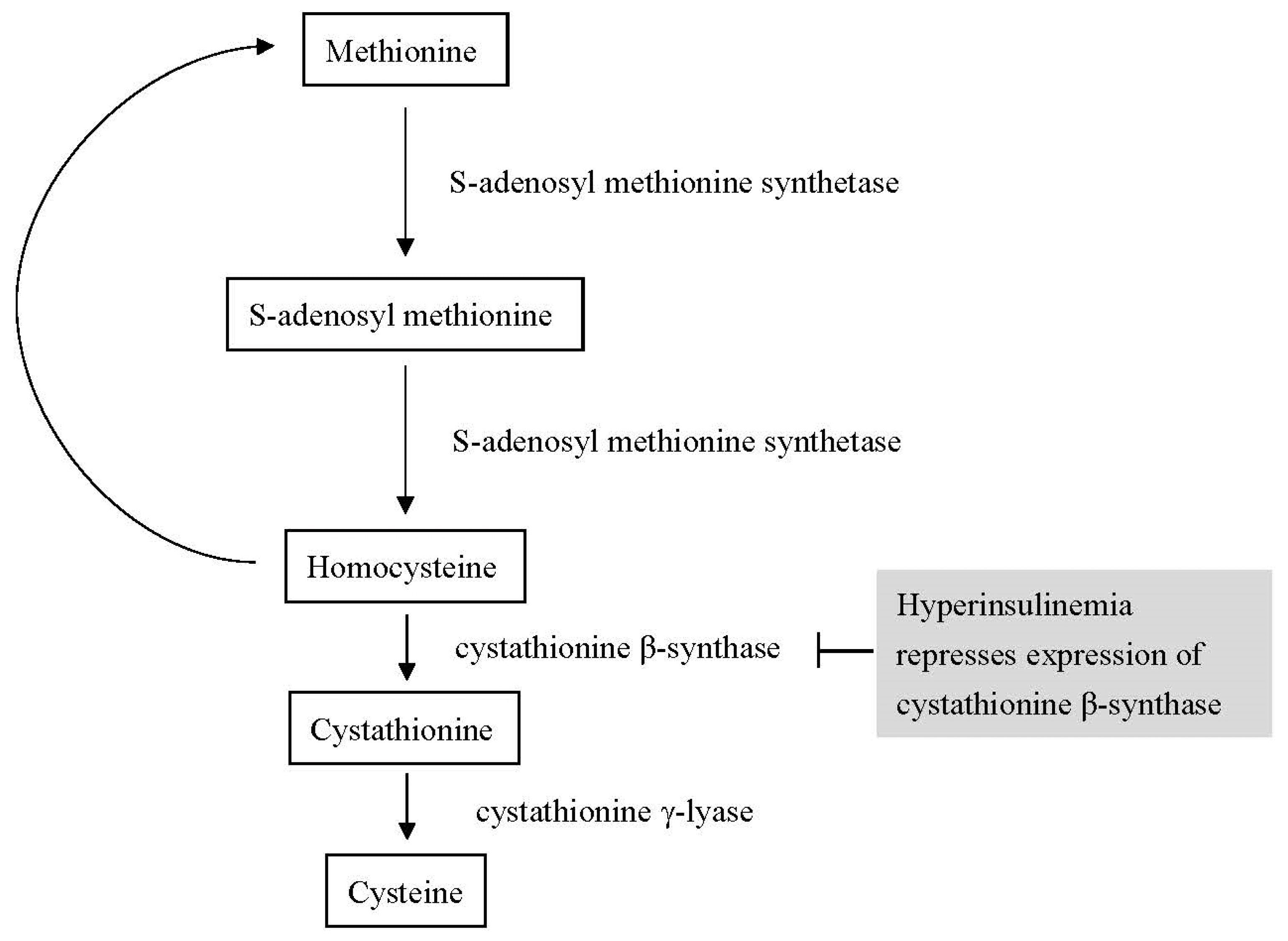 Biomedicines 11 00378 g006 Biomedicines 11 00378 g006