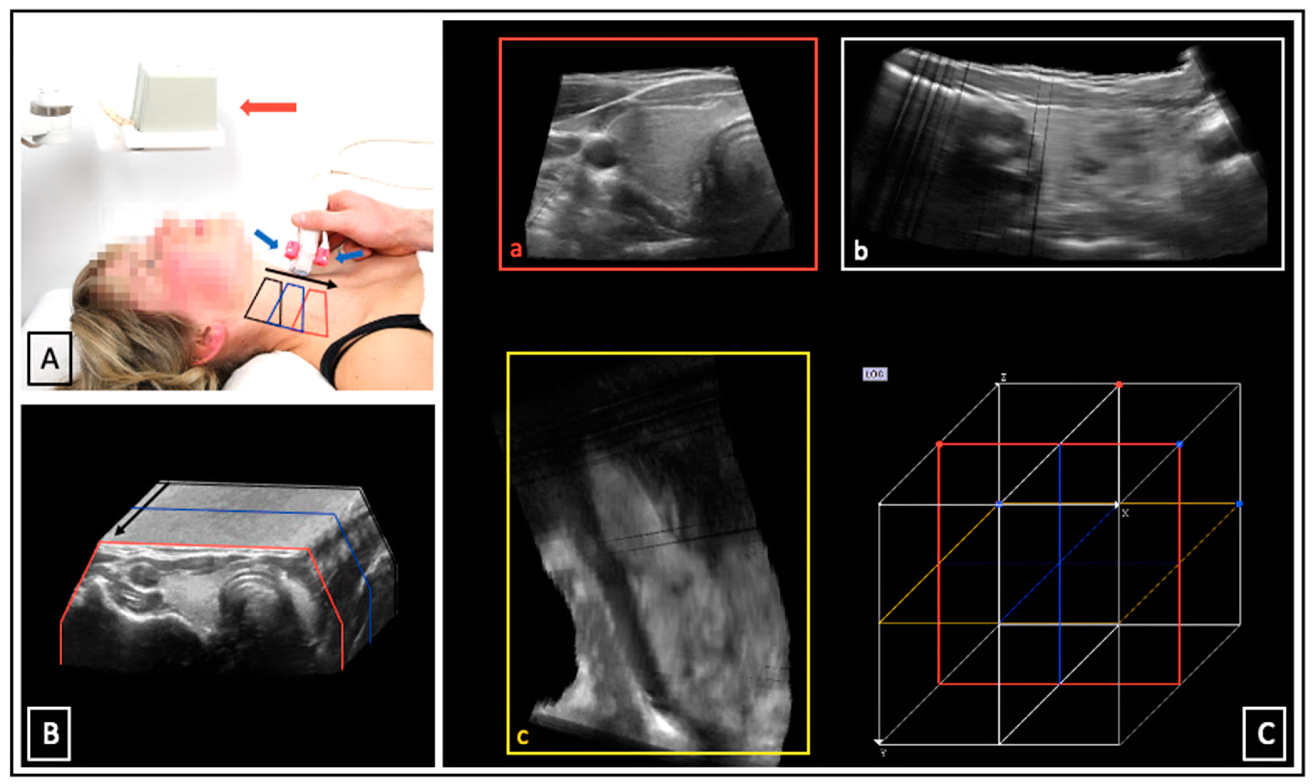 Biomedicines 11 00381 g001 Biomedicines 11 00381 g001