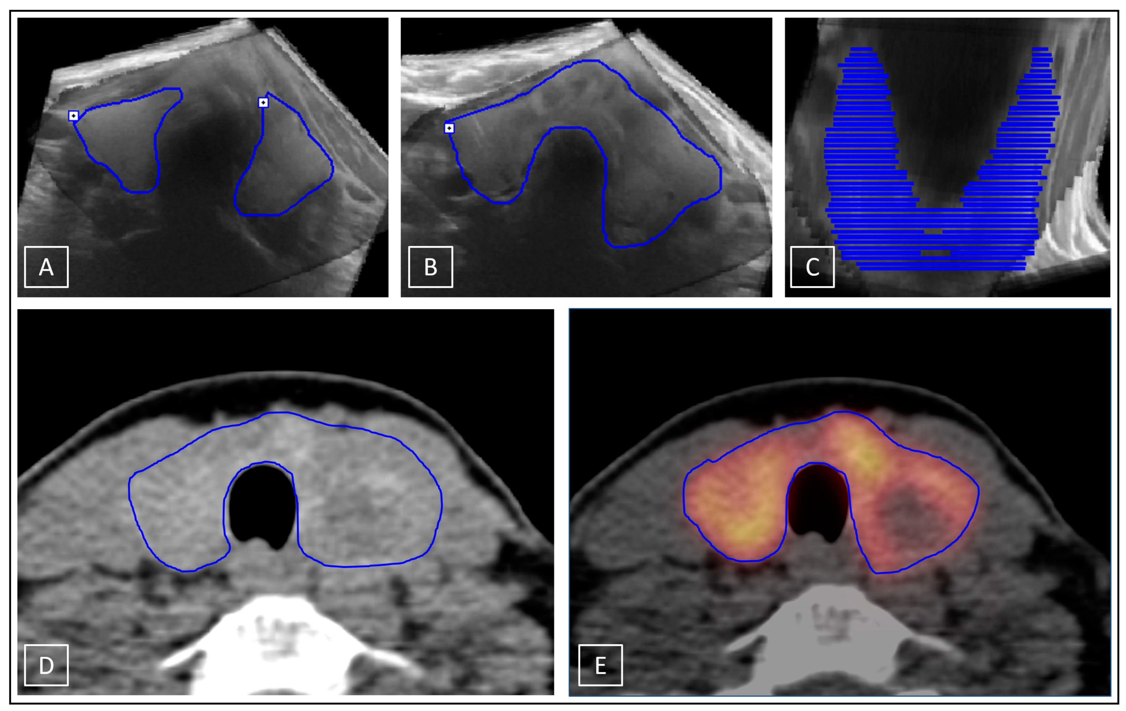 Biomedicines 11 00381 g005 Biomedicines 11 00381 g005