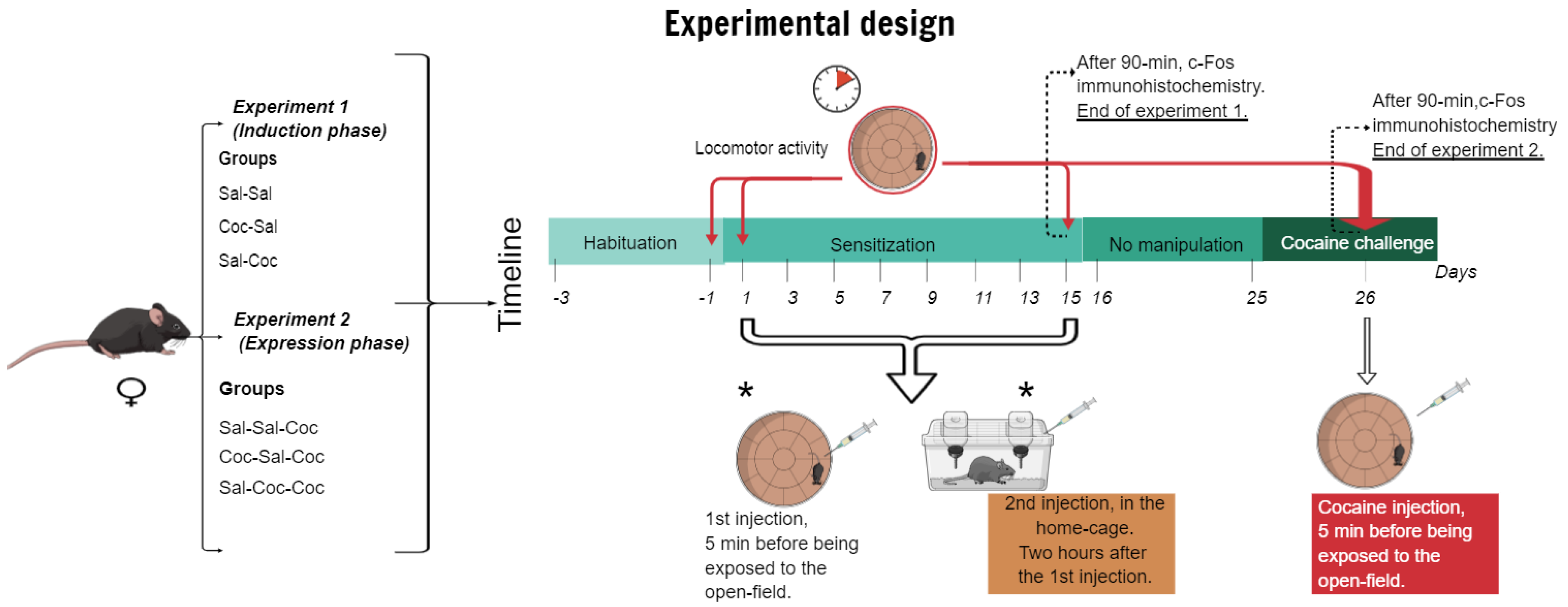 Biomedicines 11 00383 g001
