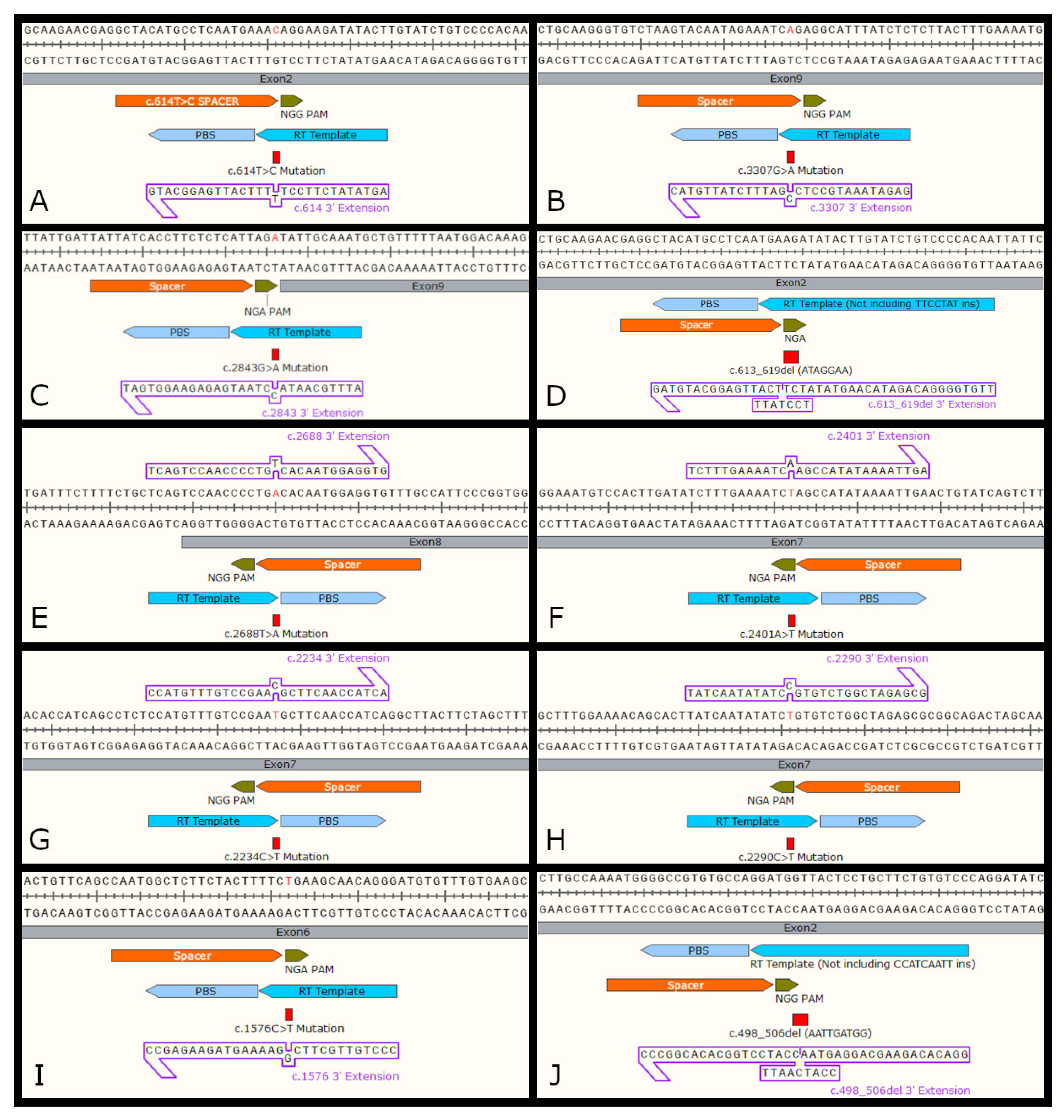 Biomedicines 11 00385 g004