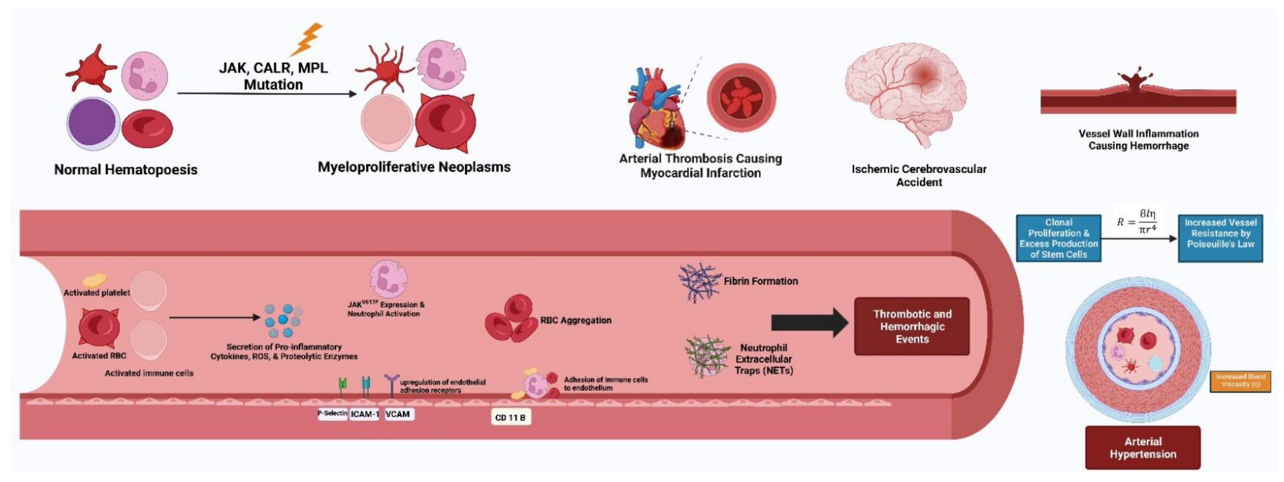 Biomedicines 11 00388 g002 Biomedicines 11 00388 g002