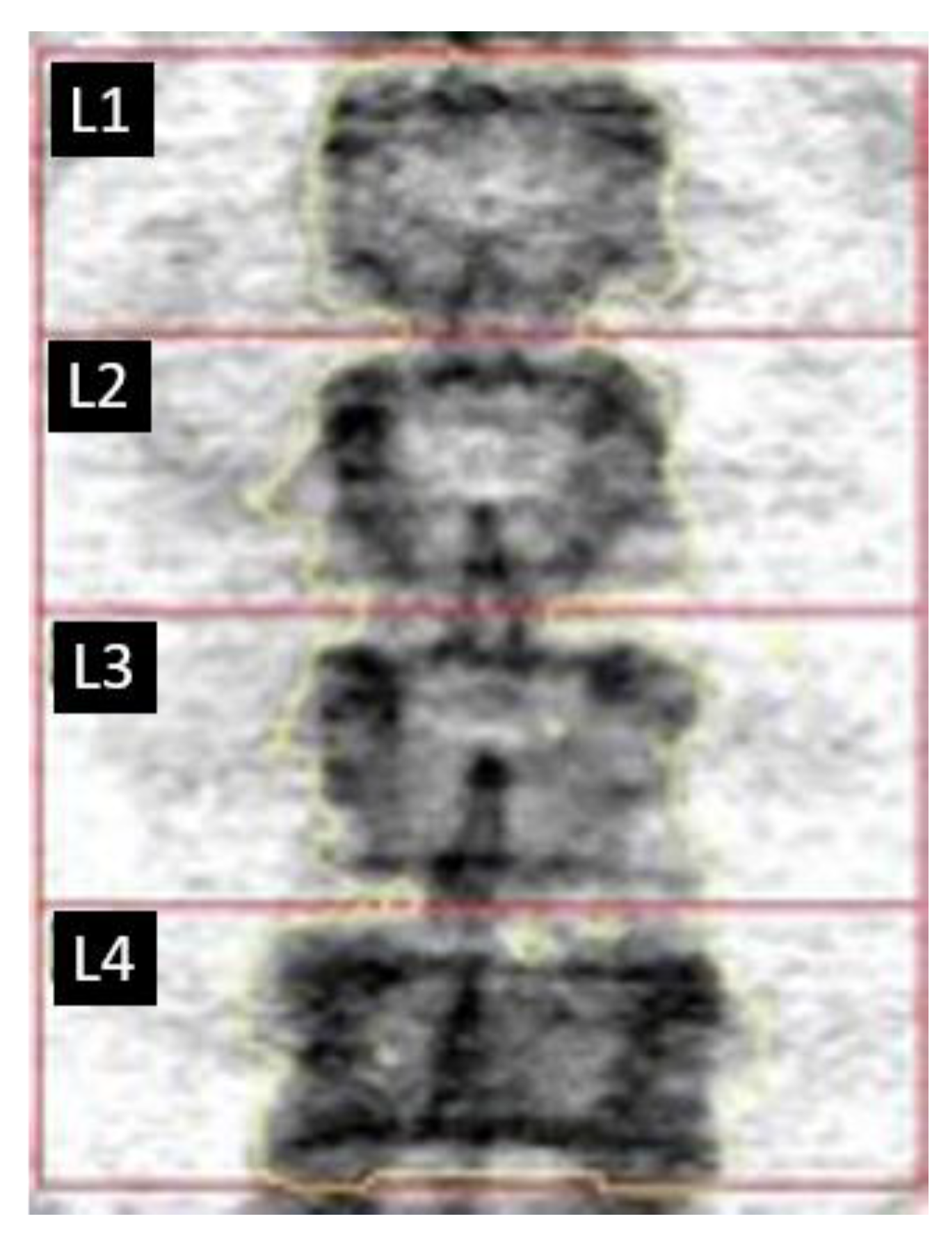 Biomedicines 11 00401 g003 Biomedicines 11 00401 g003