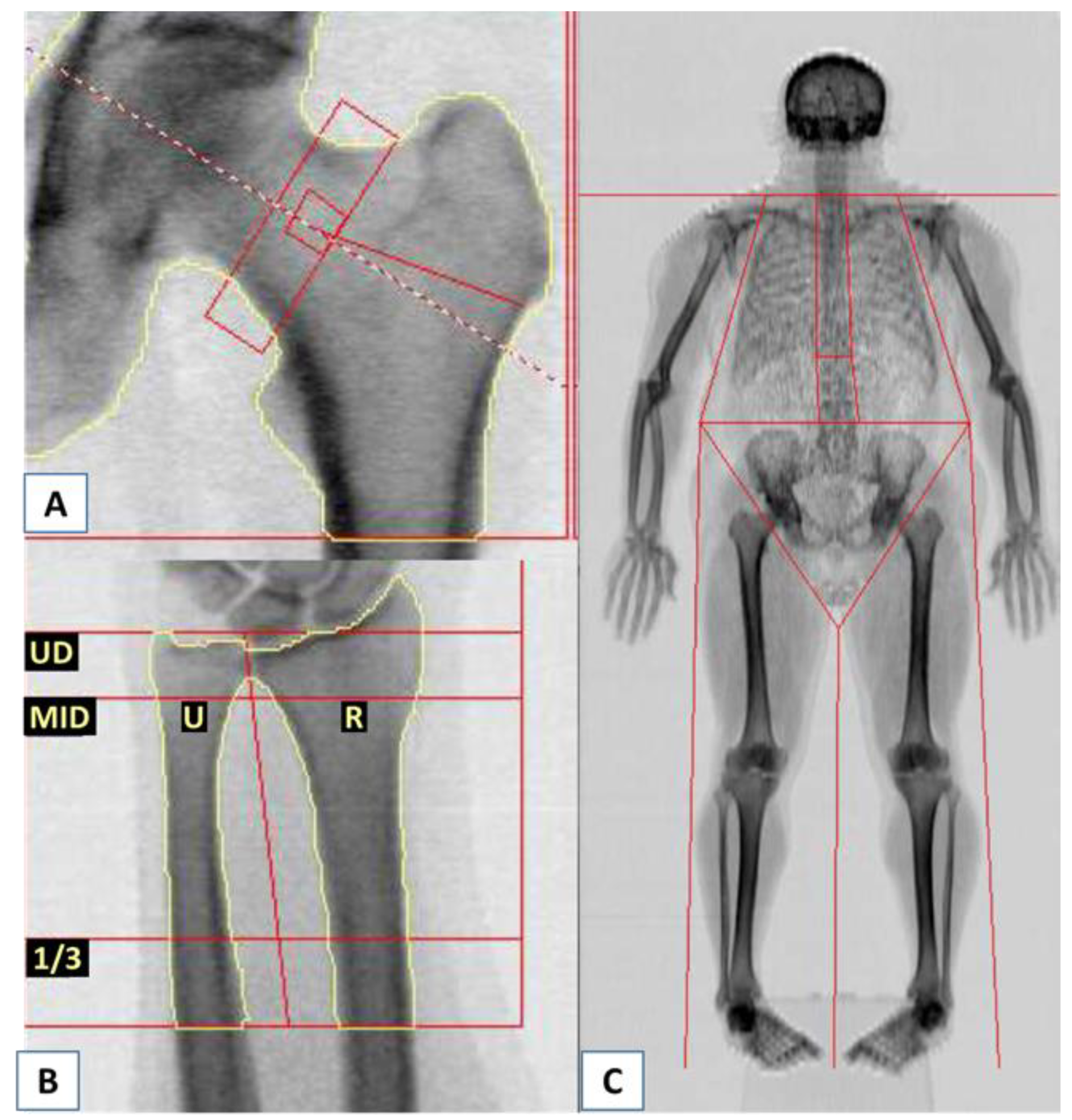 Biomedicines 11 00401 g004 Biomedicines 11 00401 g004