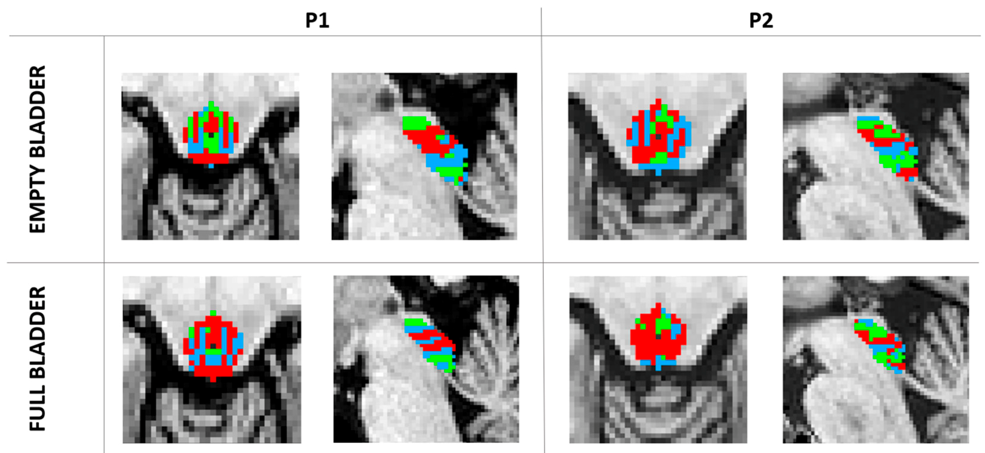 Biomedicines 11 00403 g001
