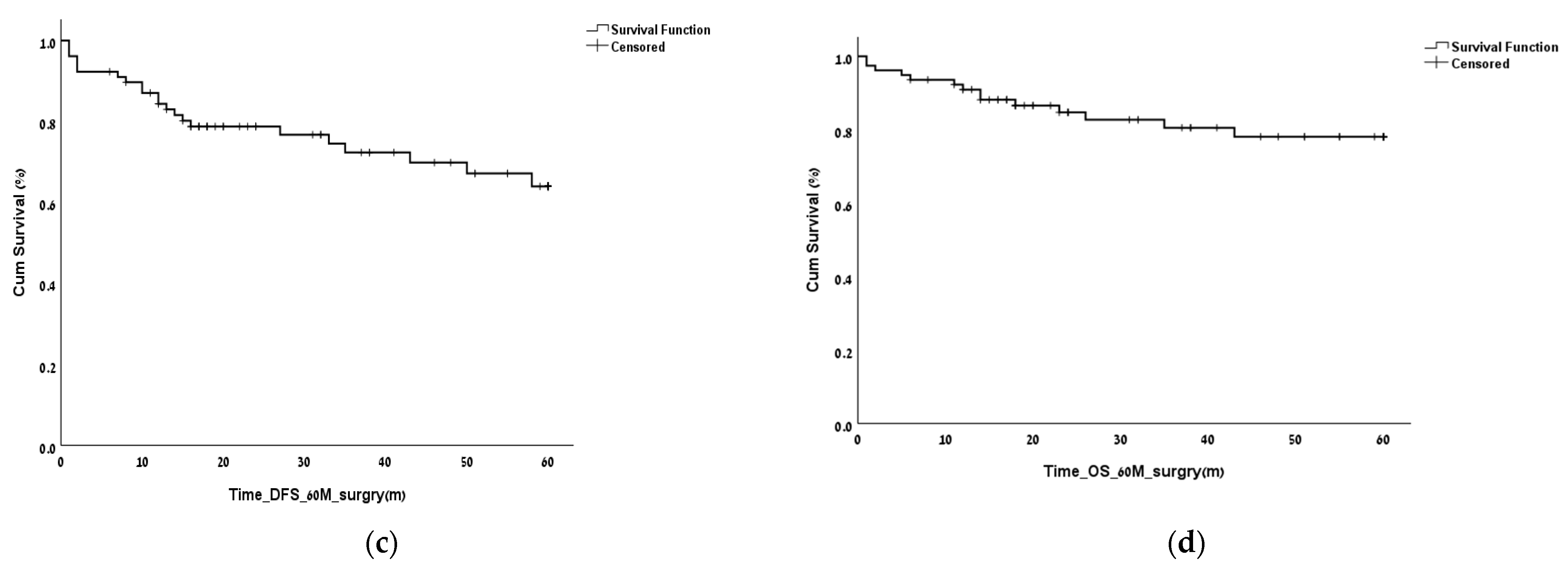 Biomedicines 11 00407 g001b