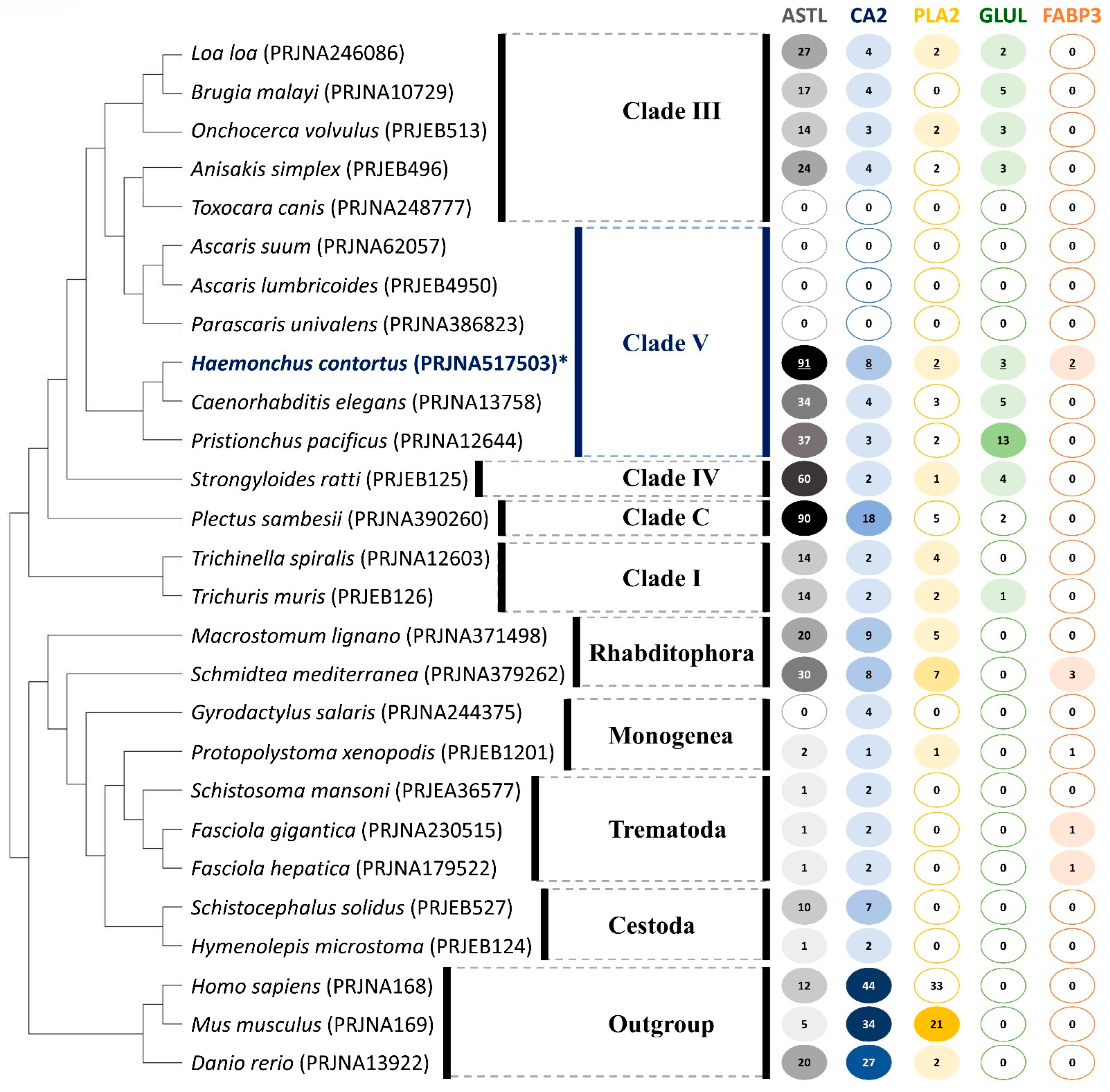 Biomedicines 11 00411 g005 Biomedicines 11 00411 g005