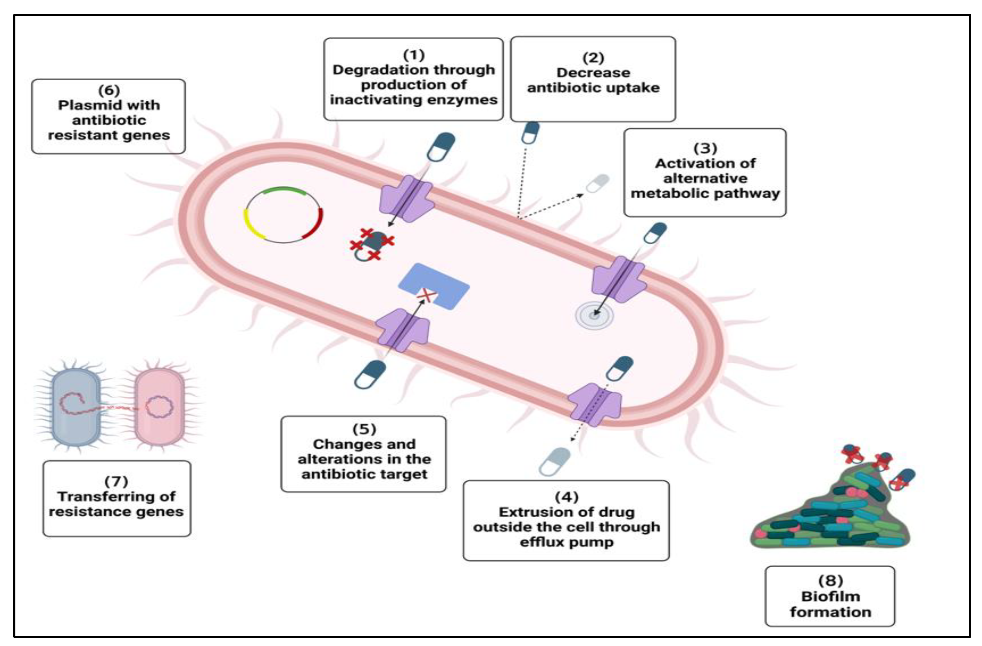 Biomedicines 11 00413 g002