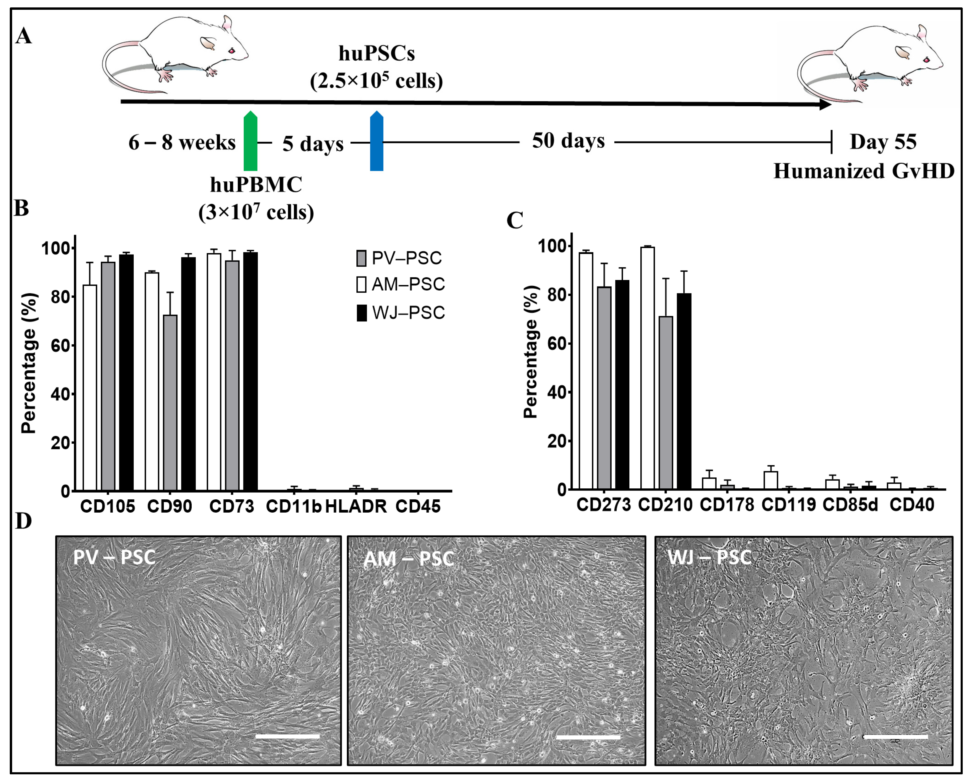 Biomedicines 11 00415 g001 Biomedicines 11 00415 g001