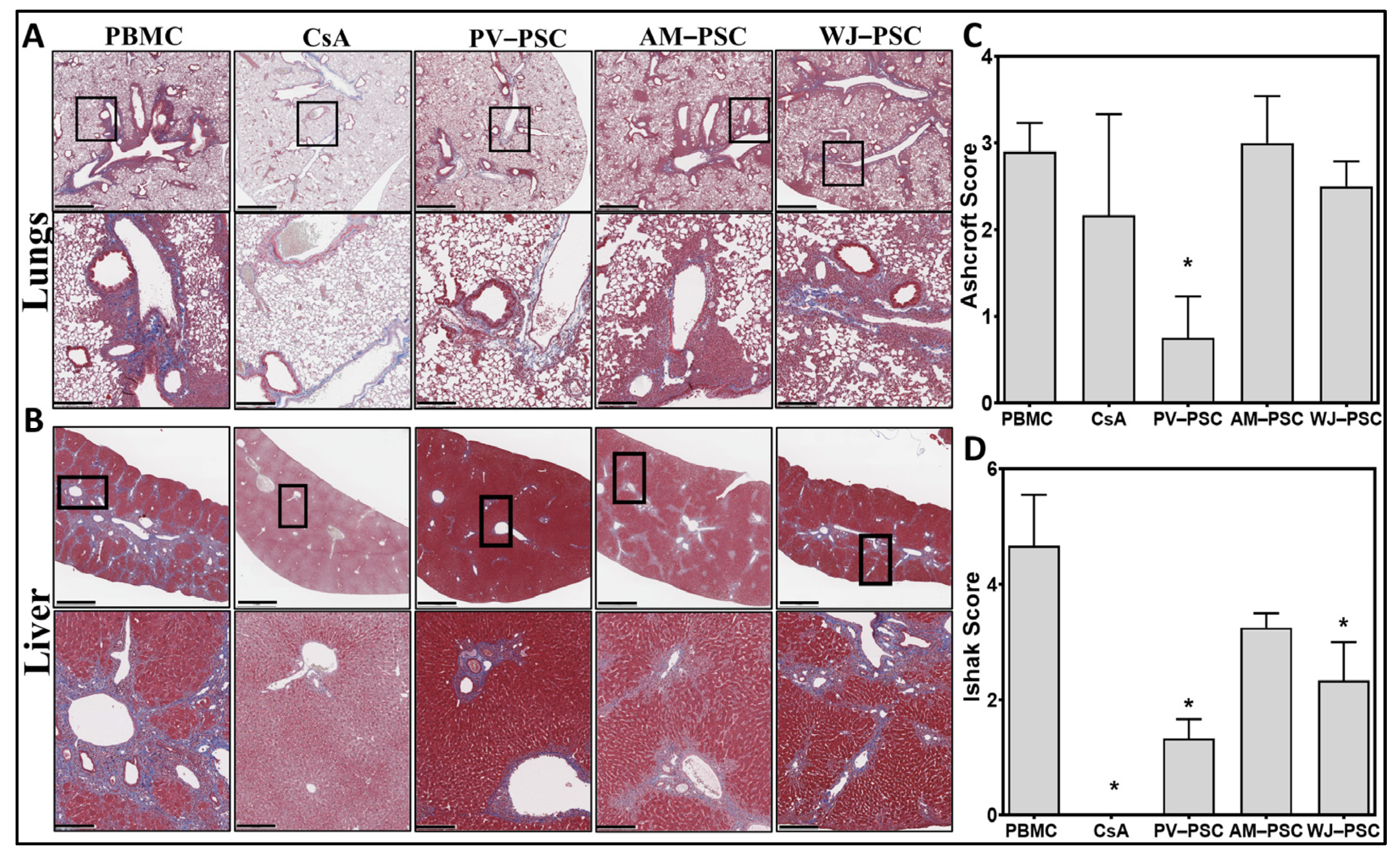Biomedicines 11 00415 g005 Biomedicines 11 00415 g005