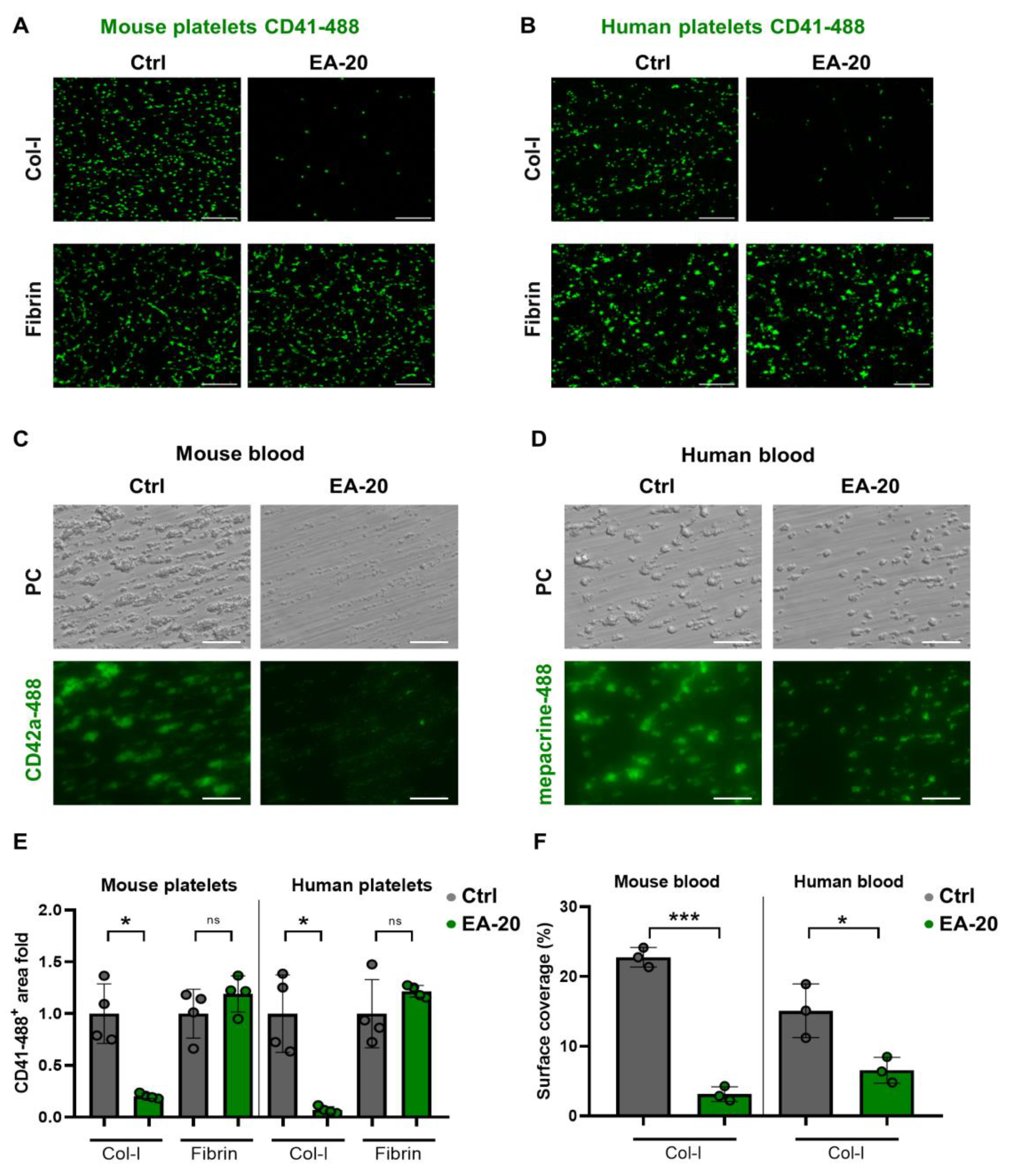 Biomedicines 11 00423 g003