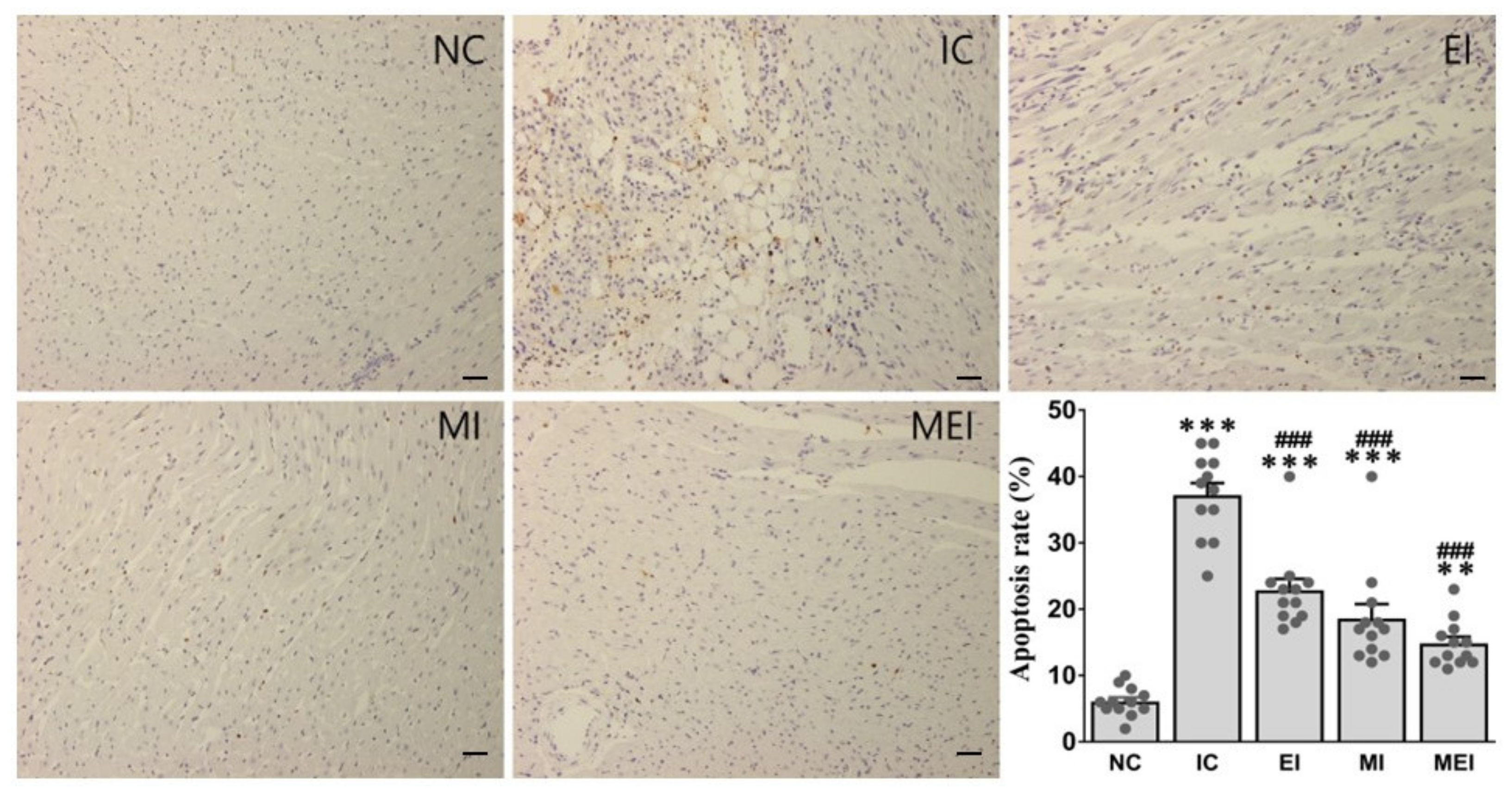 Biomedicines 11 00428 g007