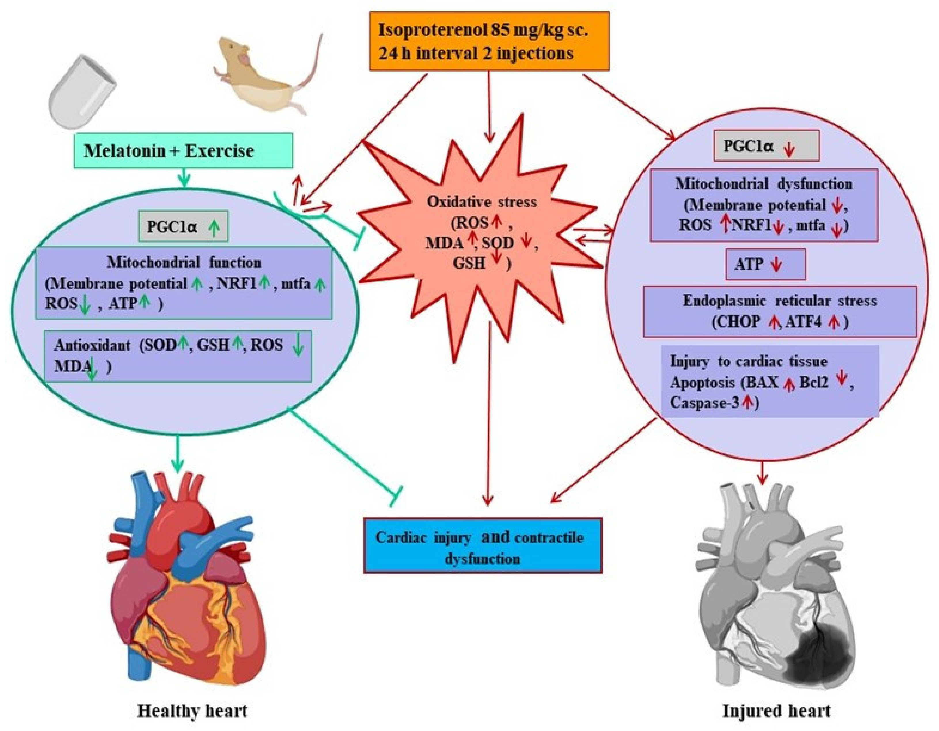 Biomedicines 11 00428 g008