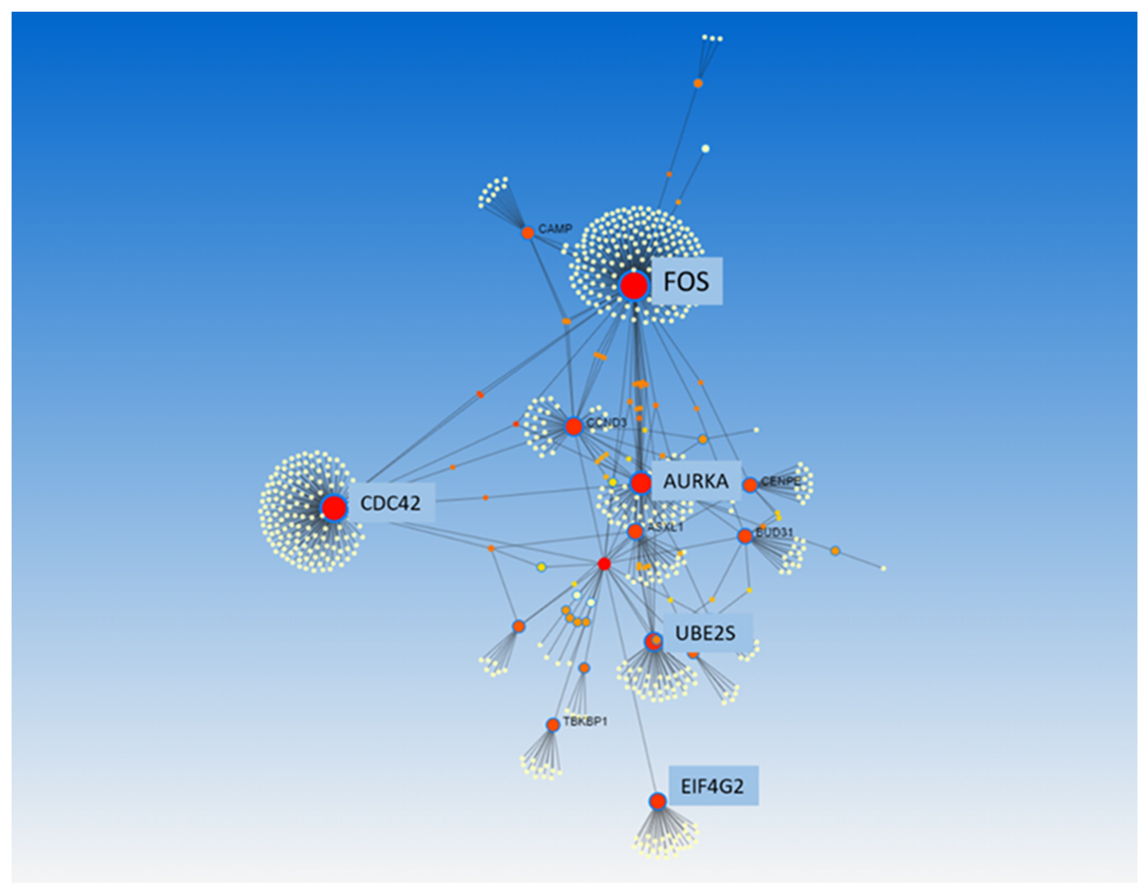 Biomedicines 11 00429 g004
