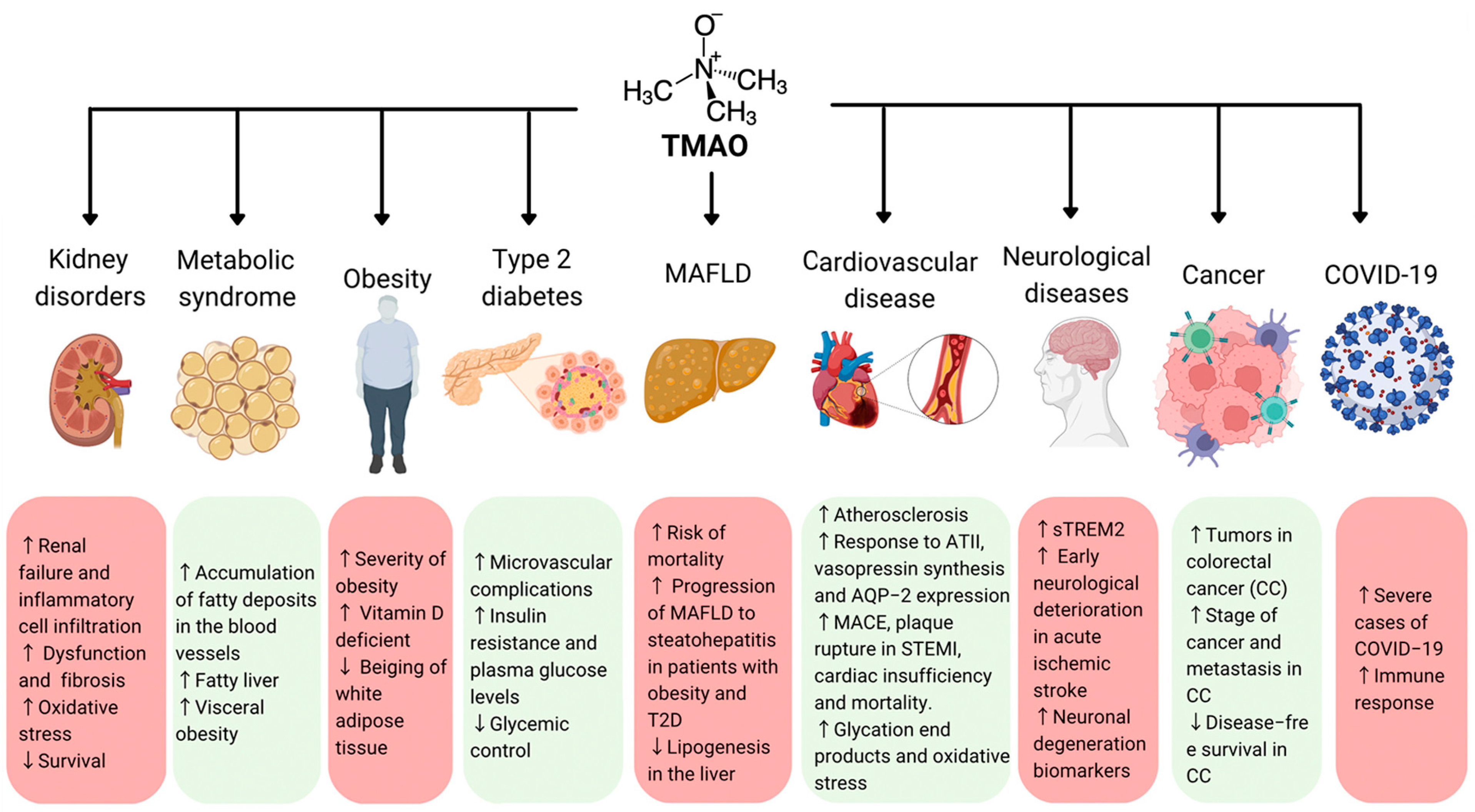 Biomedicines 11 00431 g002 Biomedicines 11 00431 g002