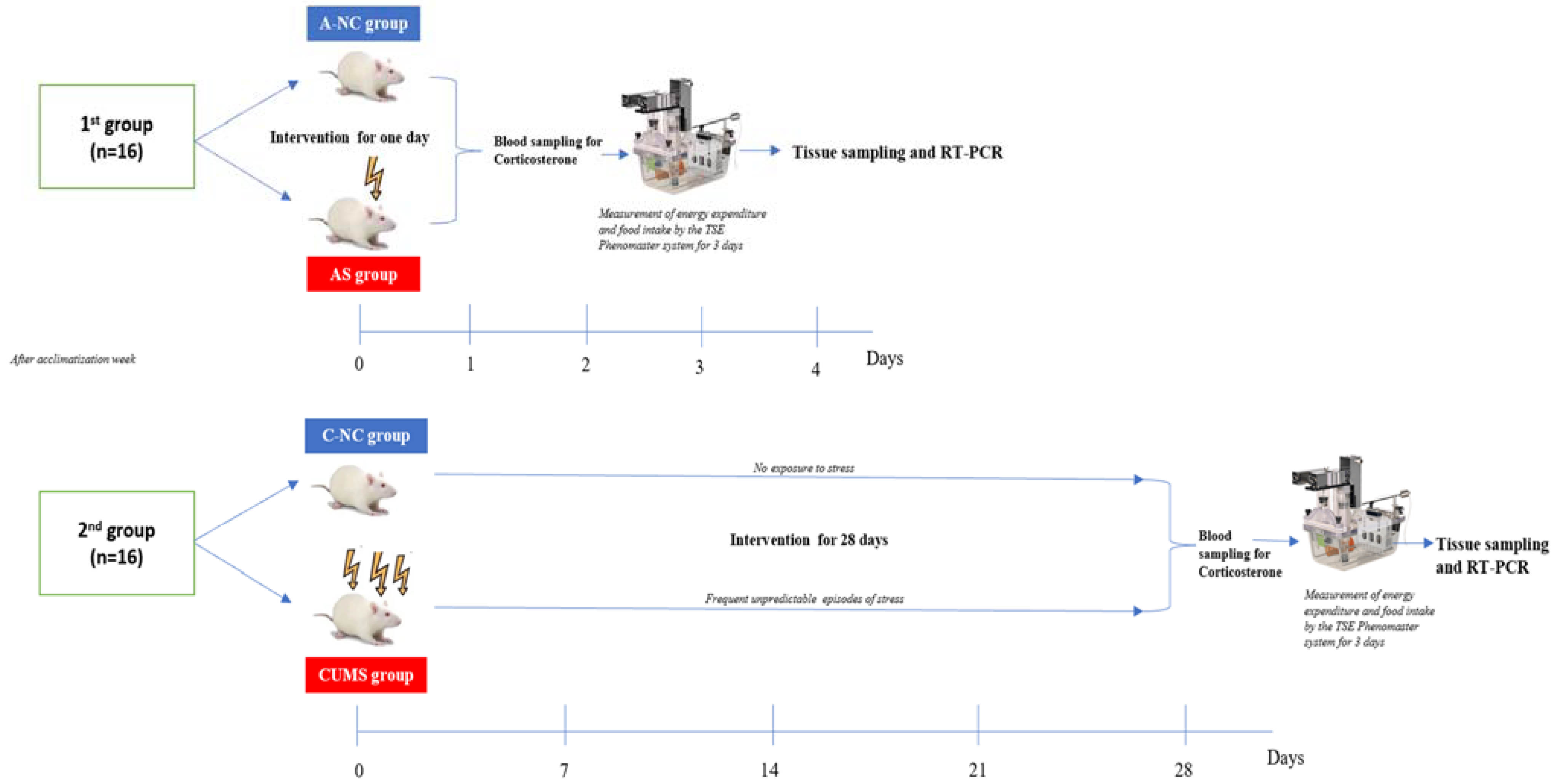 Biomedicines 11 00440 g001 Biomedicines 11 00440 g001