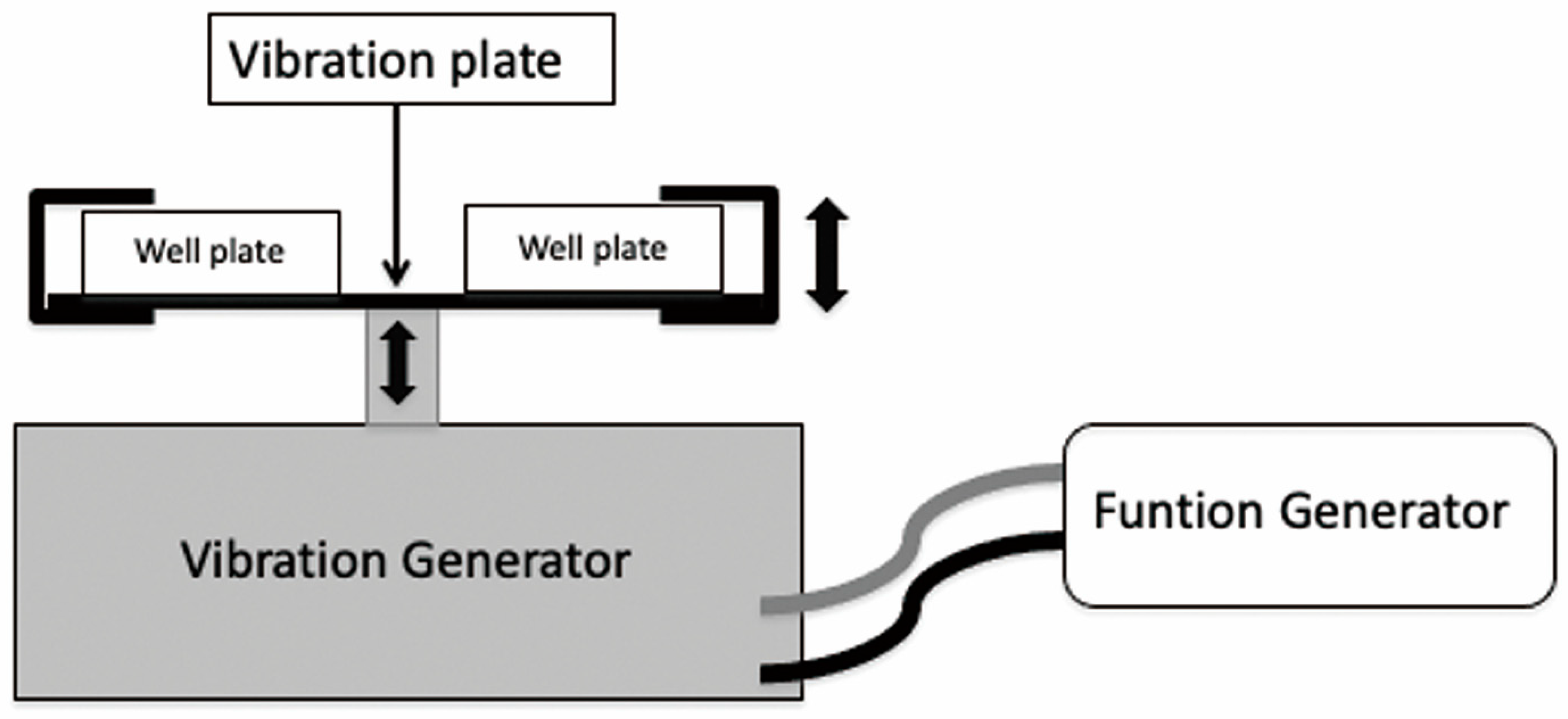 Biomedicines 11 00444 g001
