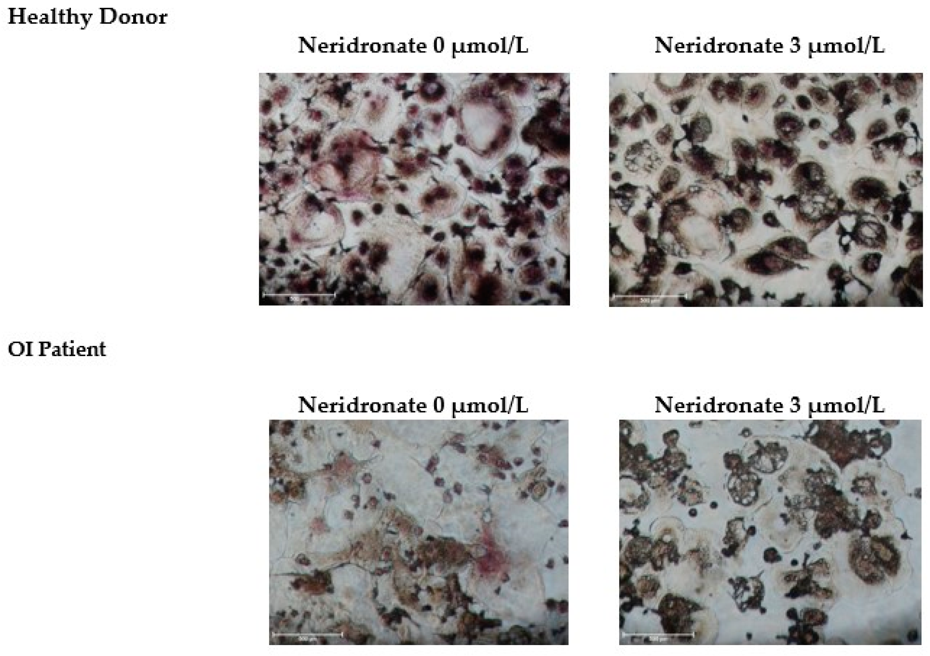 Biomedicines 11 00458 g002