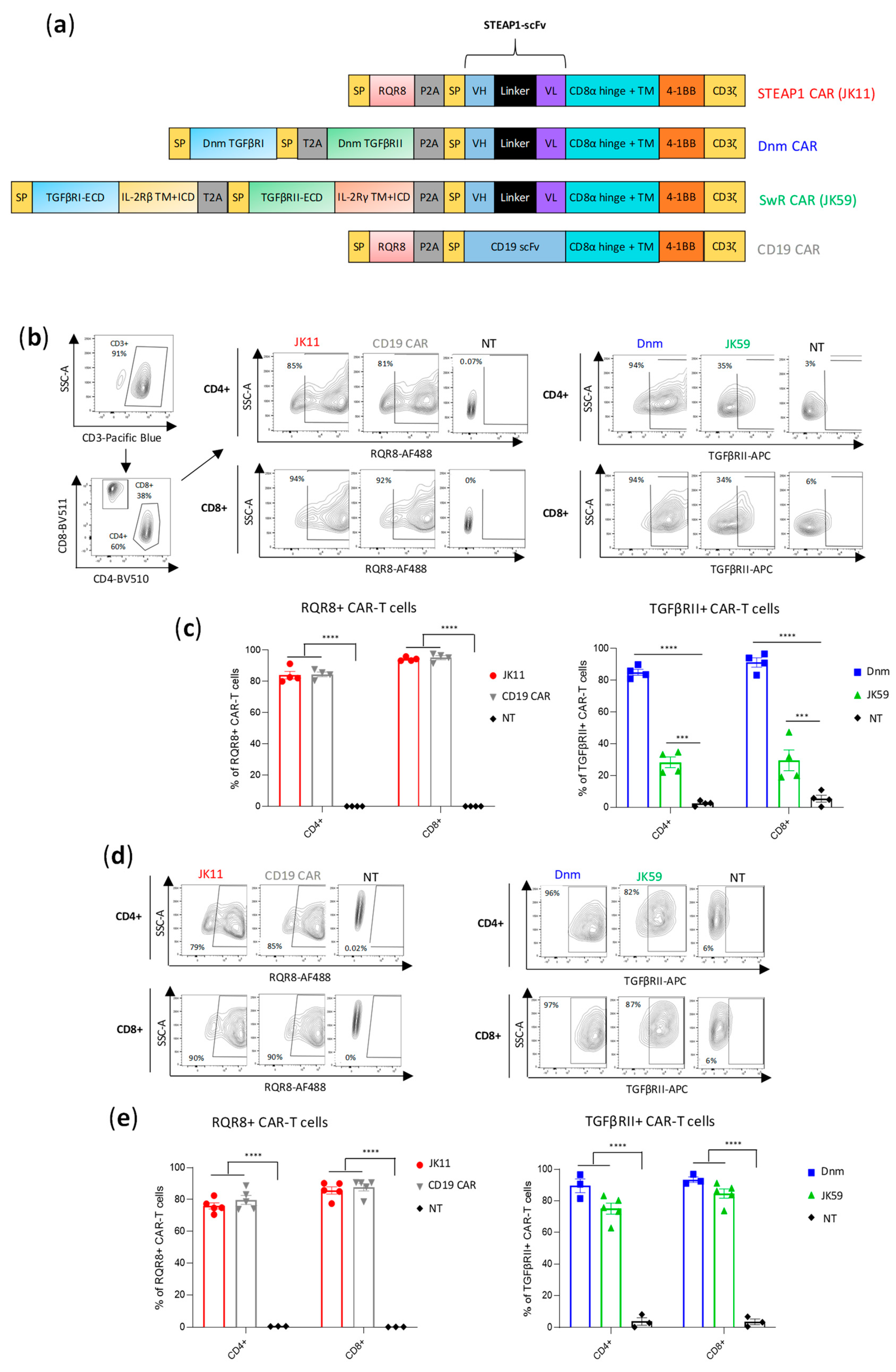 Biomedicines 11 00459 g001
