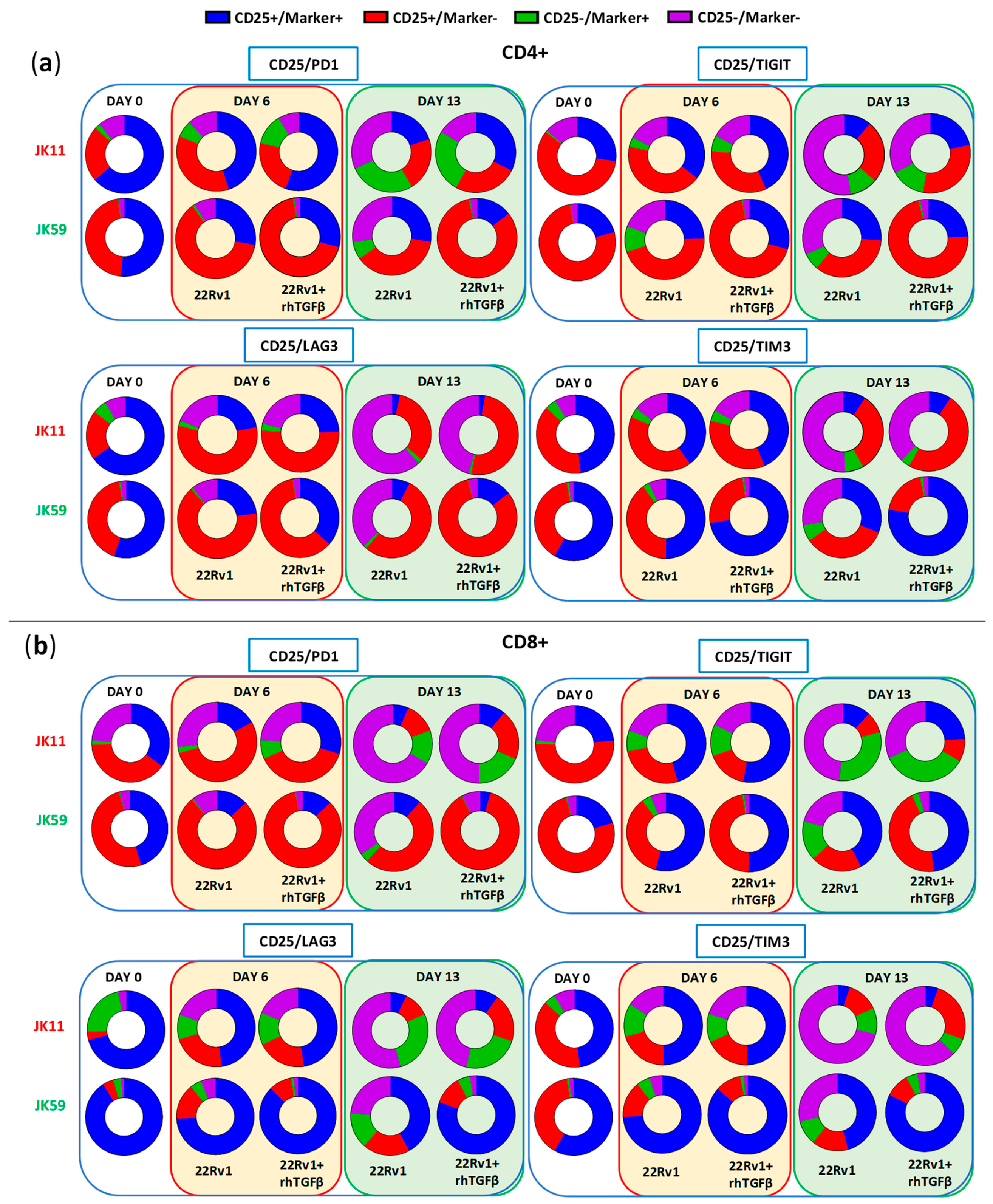 Biomedicines 11 00459 g008