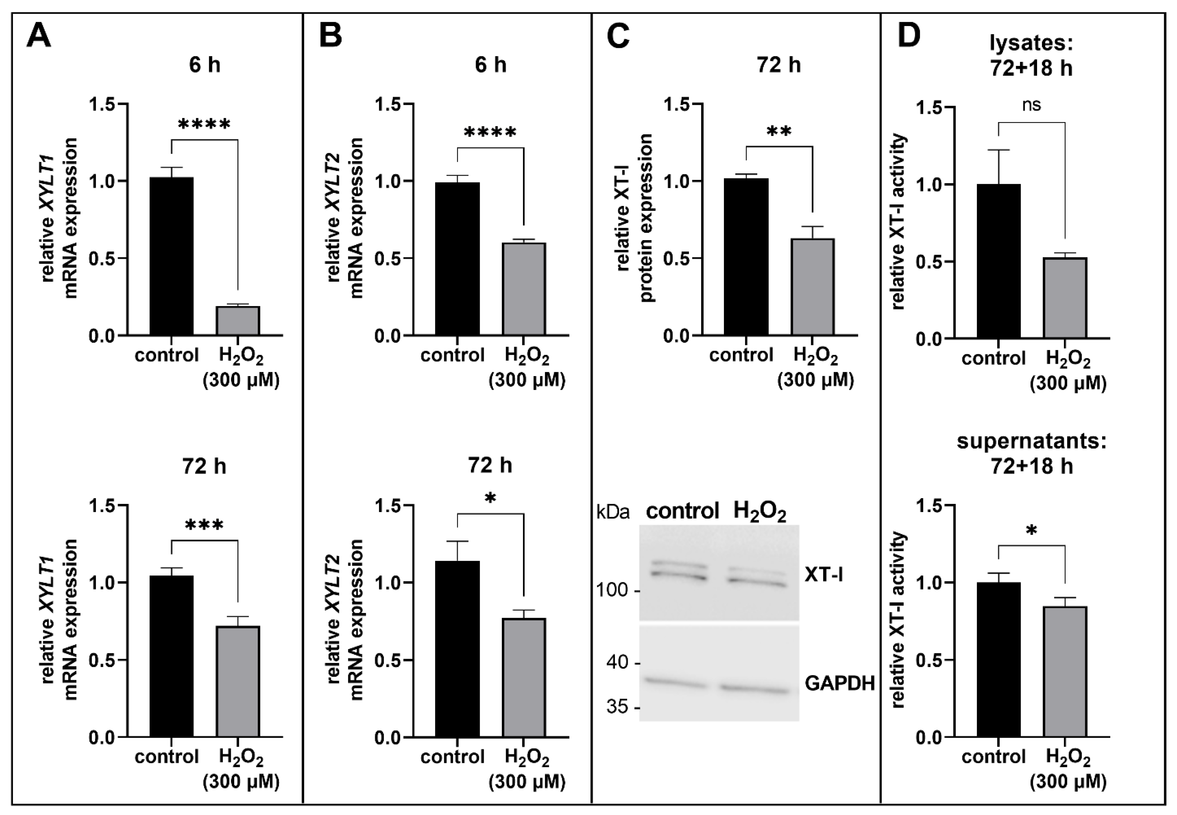 Biomedicines 11 00460 g002