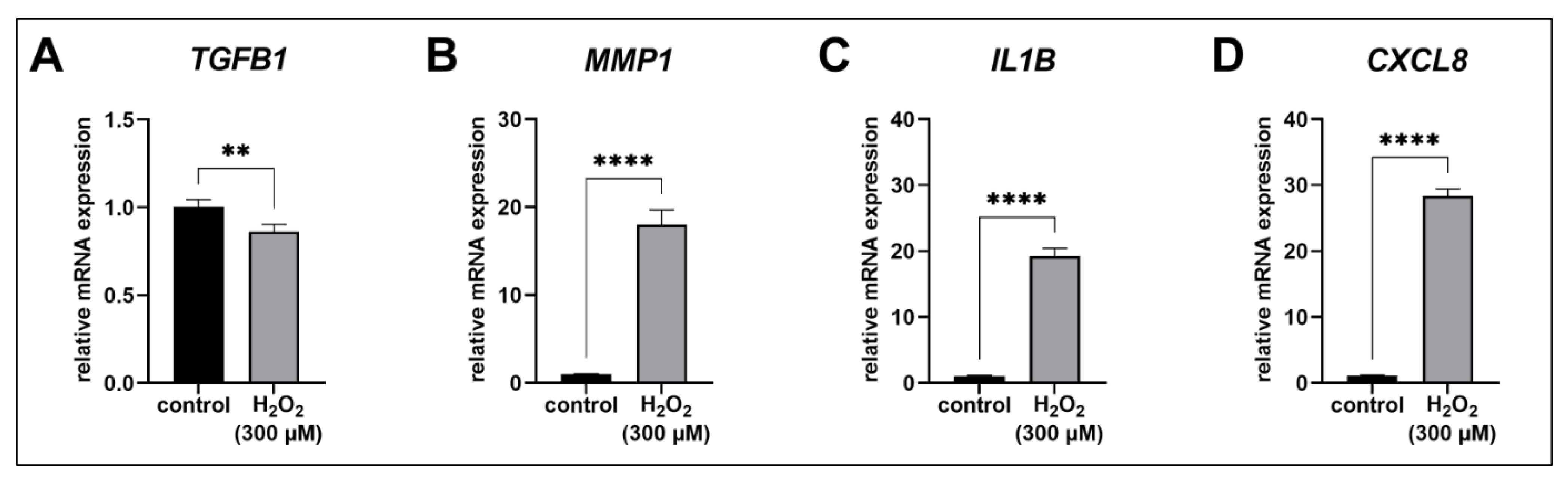Biomedicines 11 00460 g004
