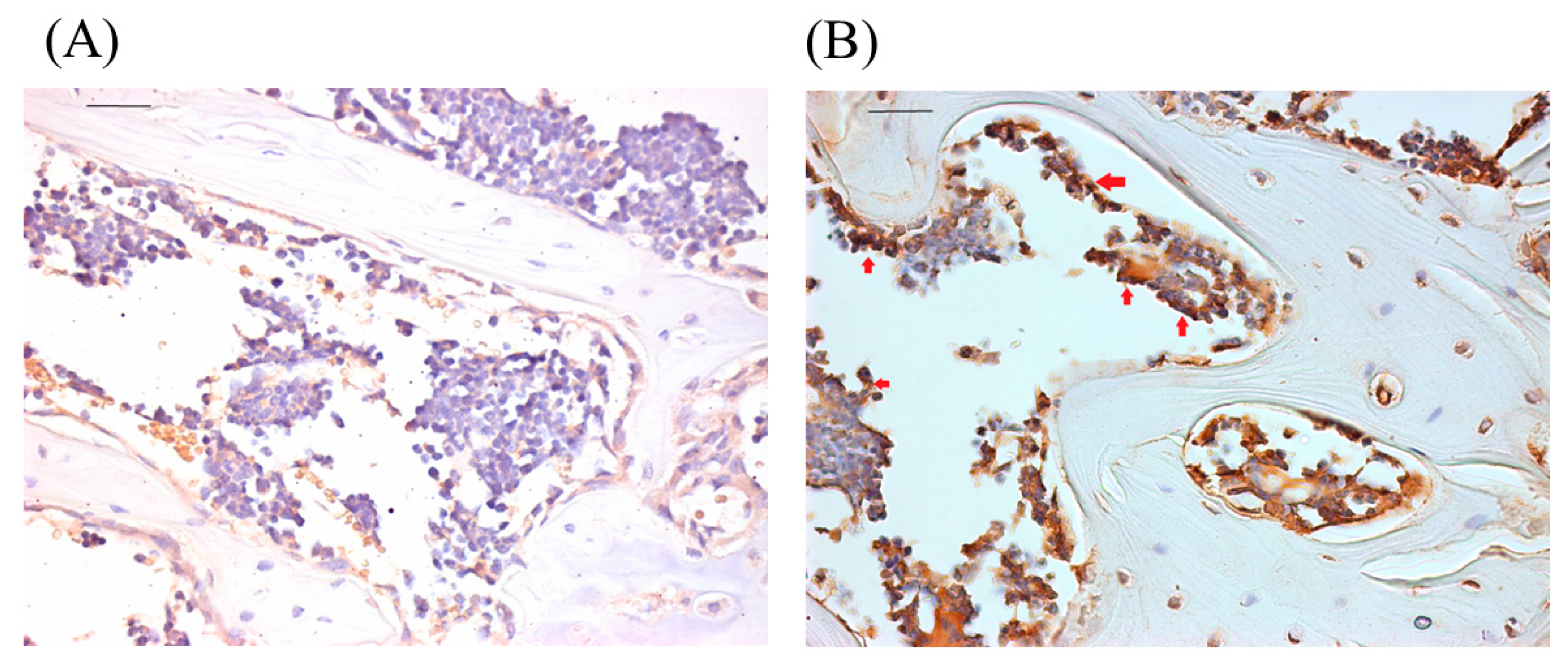Biomedicines 11 00465 g003 Biomedicines 11 00465 g003