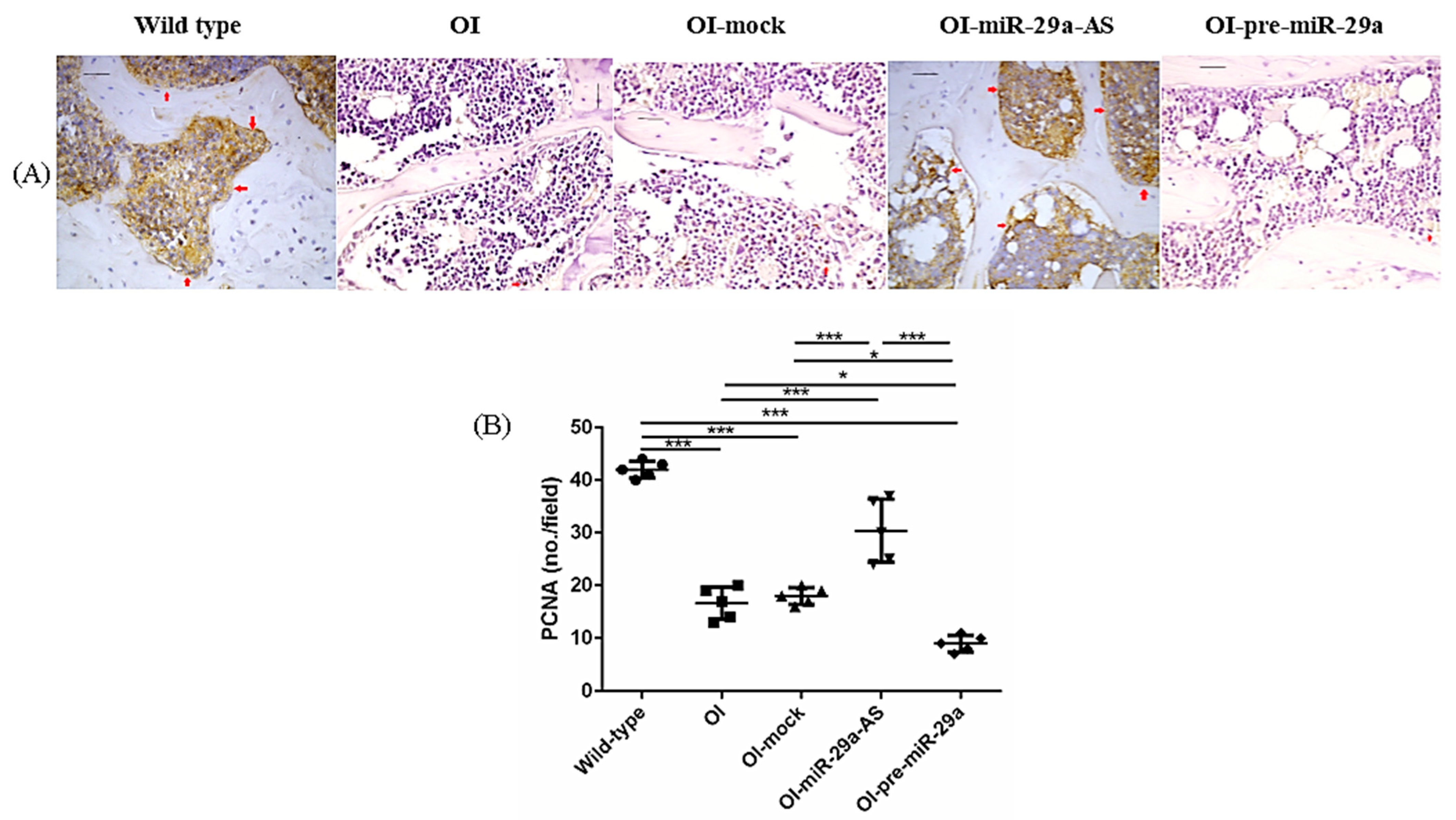 Biomedicines 11 00465 g008 Biomedicines 11 00465 g008
