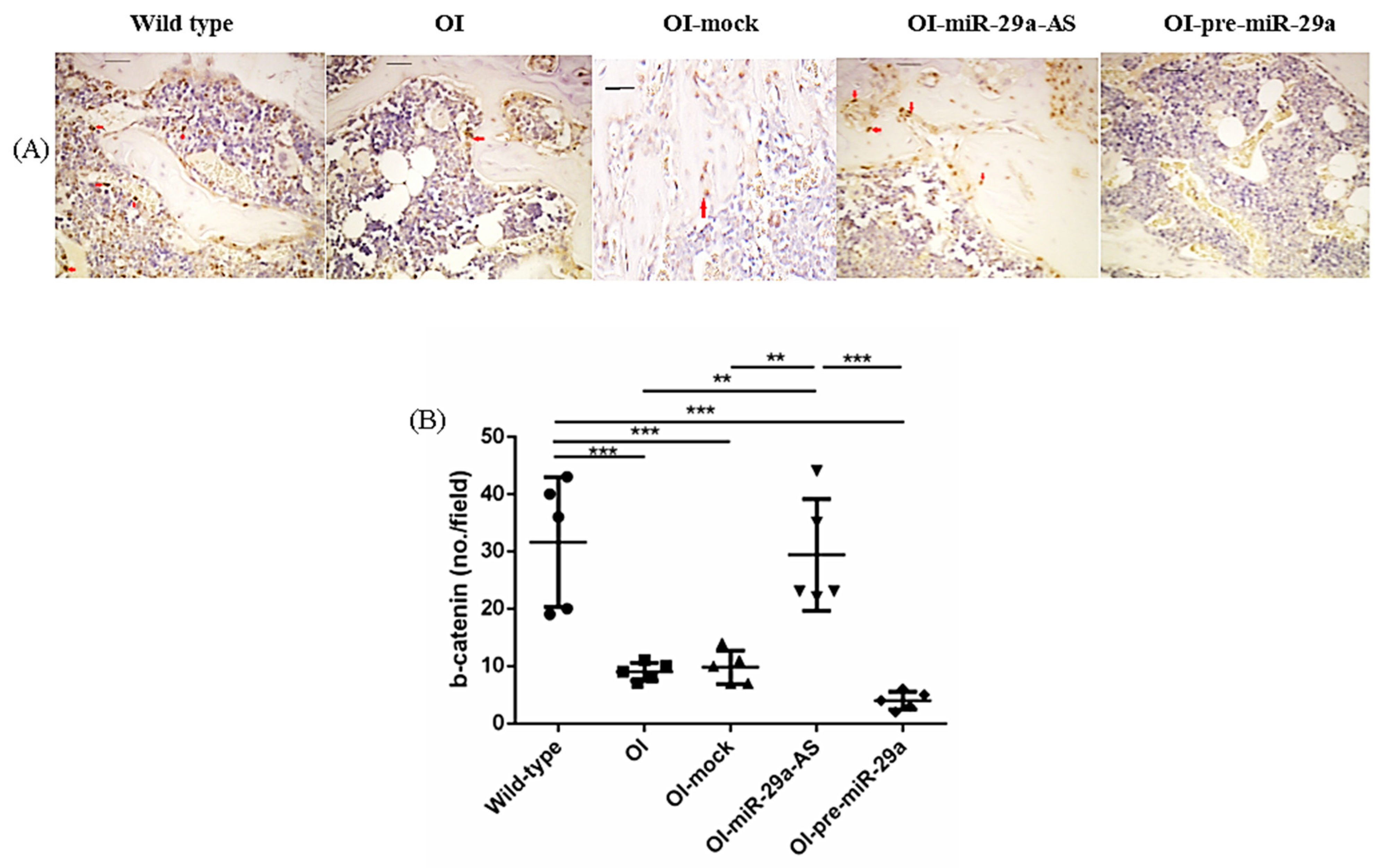 Biomedicines 11 00465 g009 Biomedicines 11 00465 g009