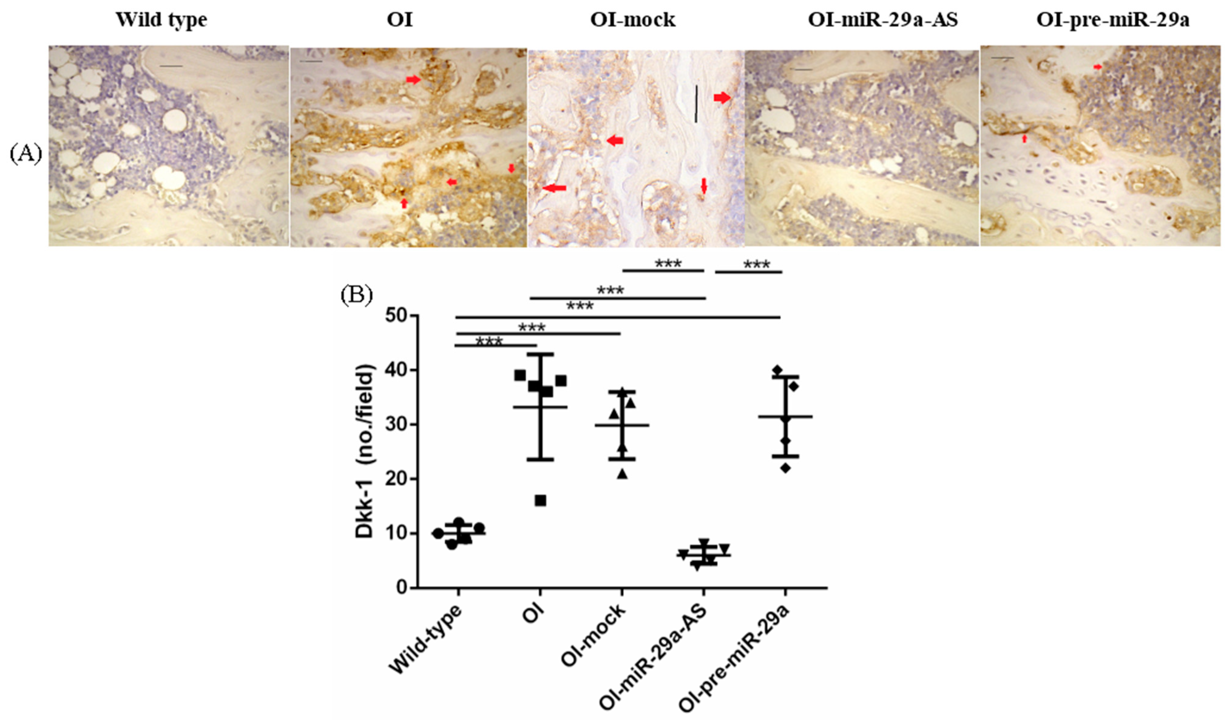 Biomedicines 11 00465 g010 Biomedicines 11 00465 g010