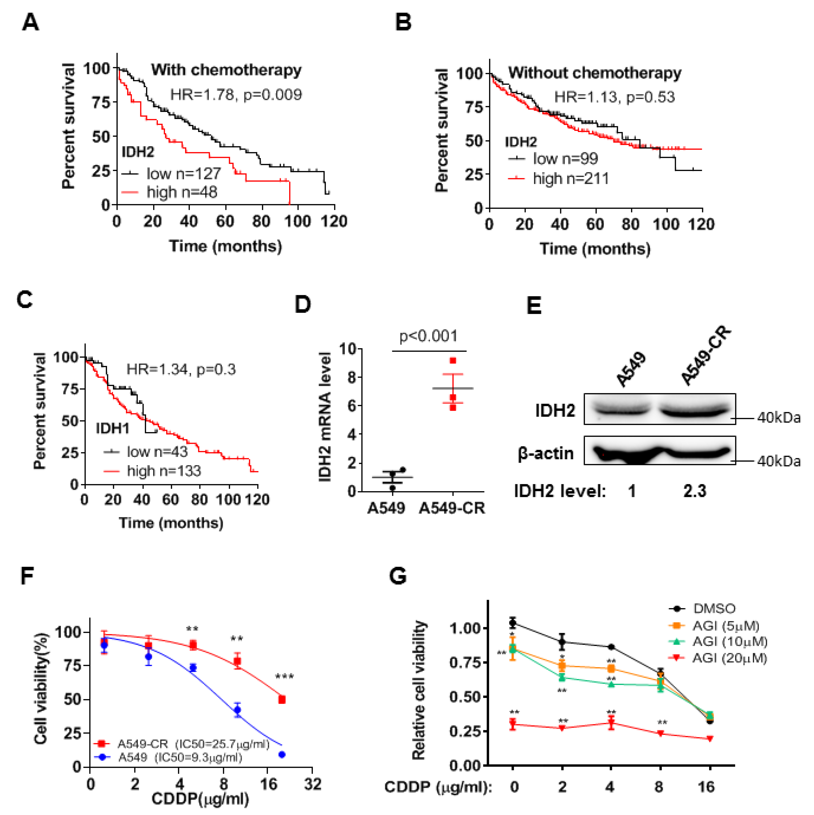 Biomedicines 11 00475 g001 Biomedicines 11 00475 g001