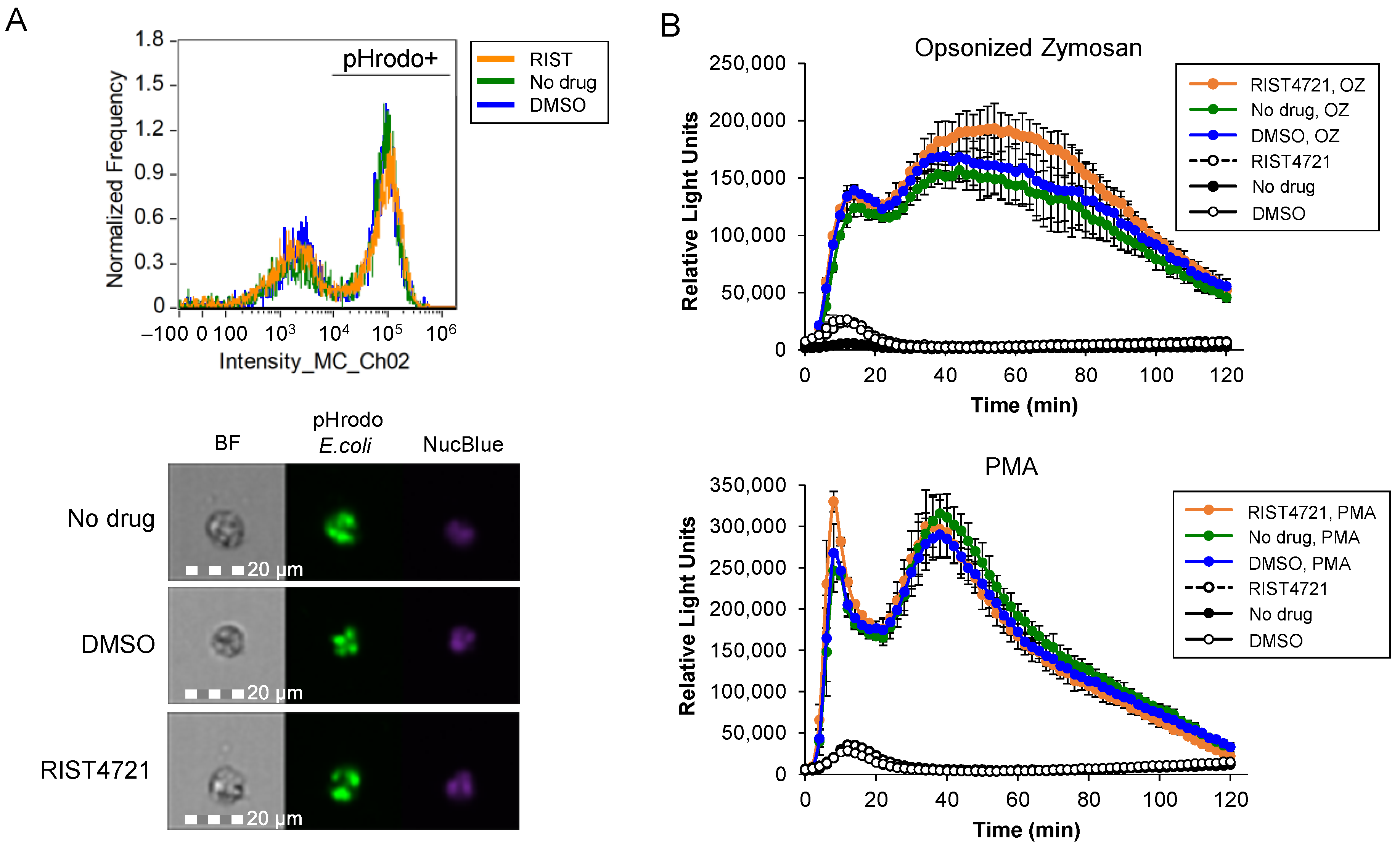 Biomedicines 11 00479 g006
