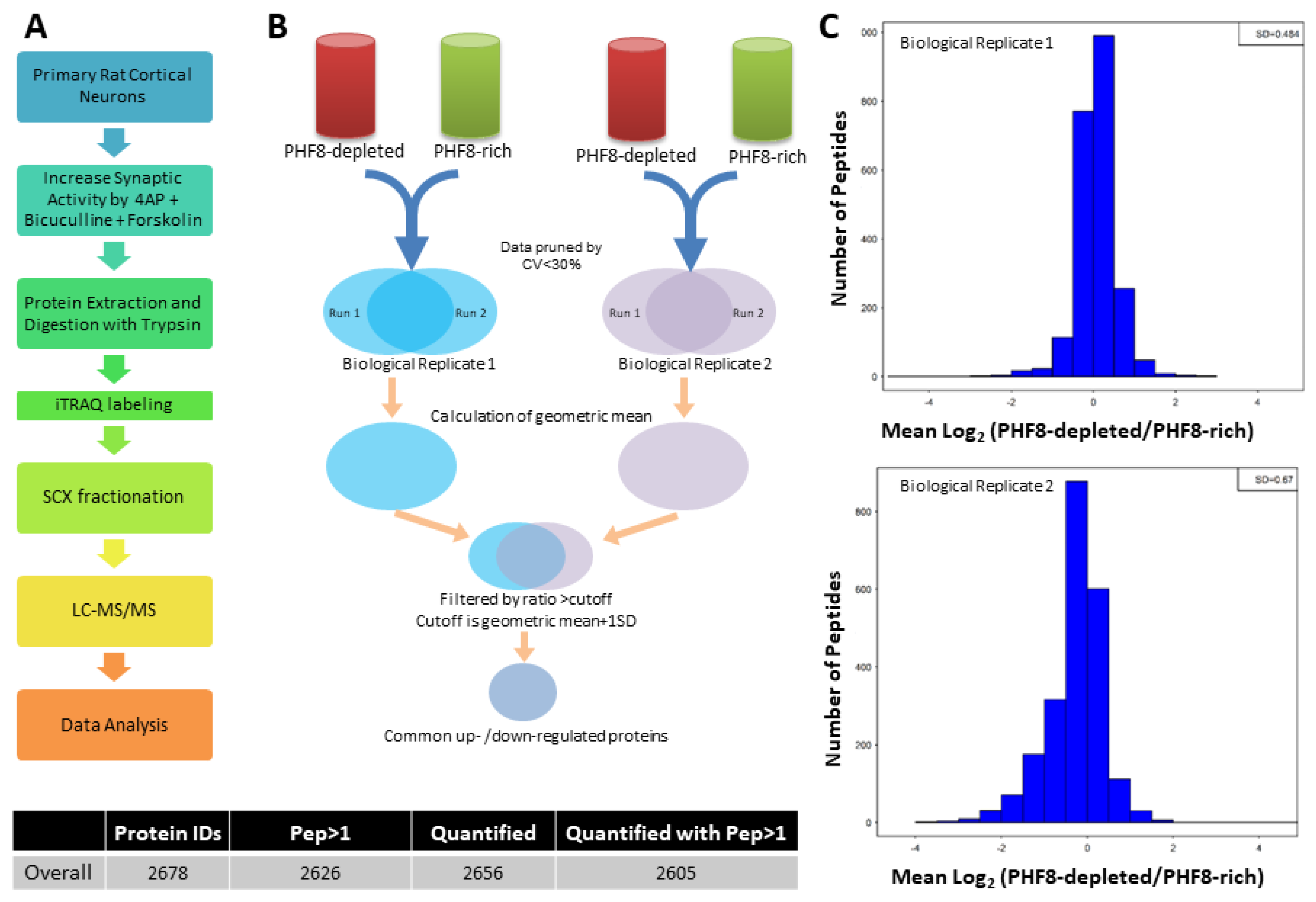 Biomedicines 11 00486 g001 Biomedicines 11 00486 g001