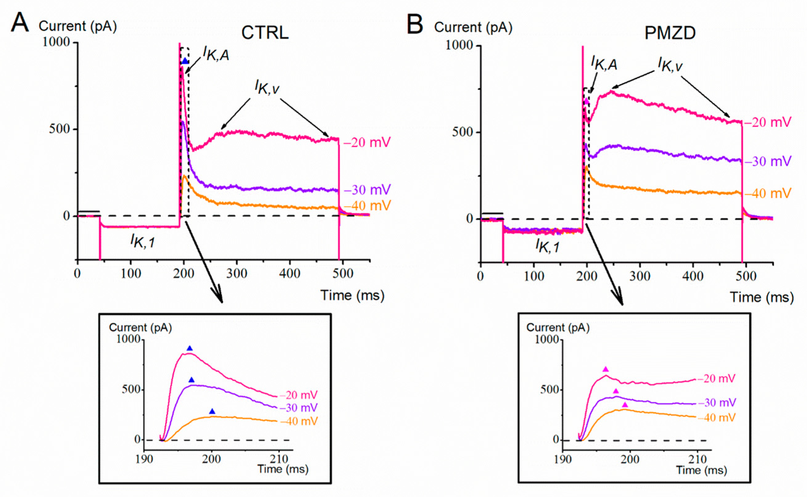 Biomedicines 11 00488 g001 Biomedicines 11 00488 g001