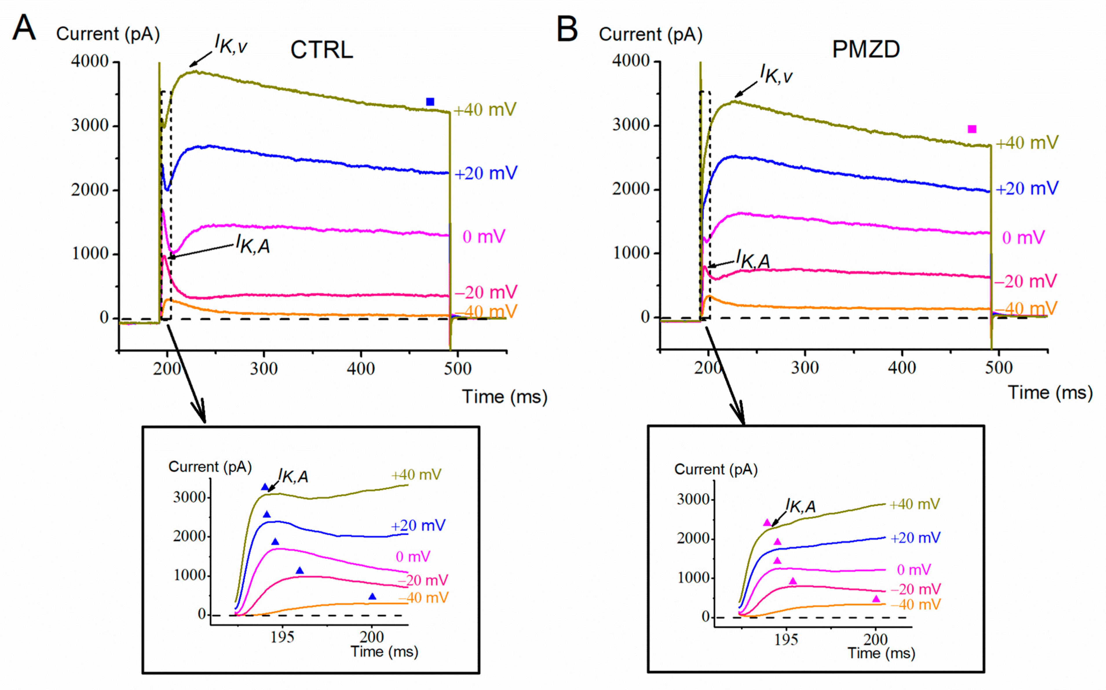 Biomedicines 11 00488 g002 Biomedicines 11 00488 g002