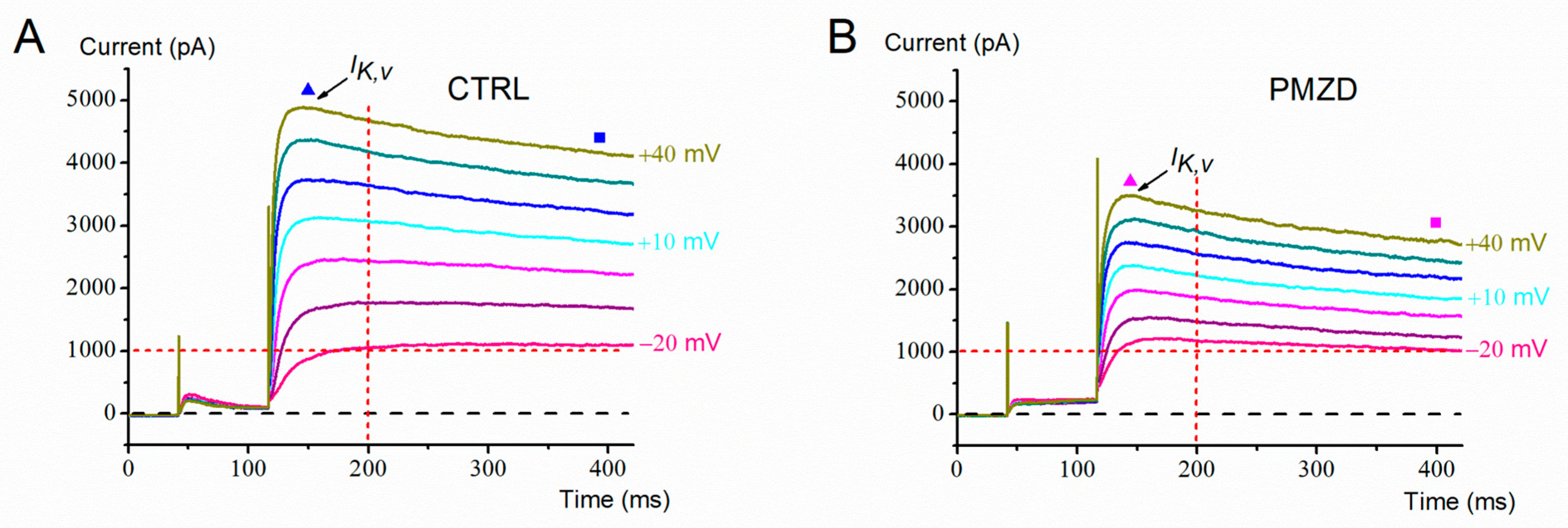 Biomedicines 11 00488 g005 Biomedicines 11 00488 g005