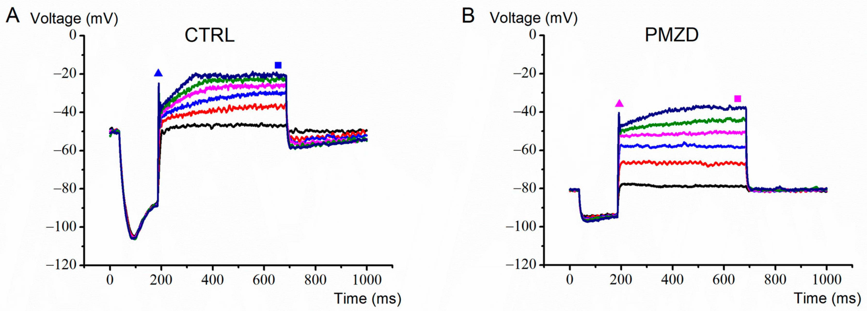 Biomedicines 11 00488 g009 Biomedicines 11 00488 g009