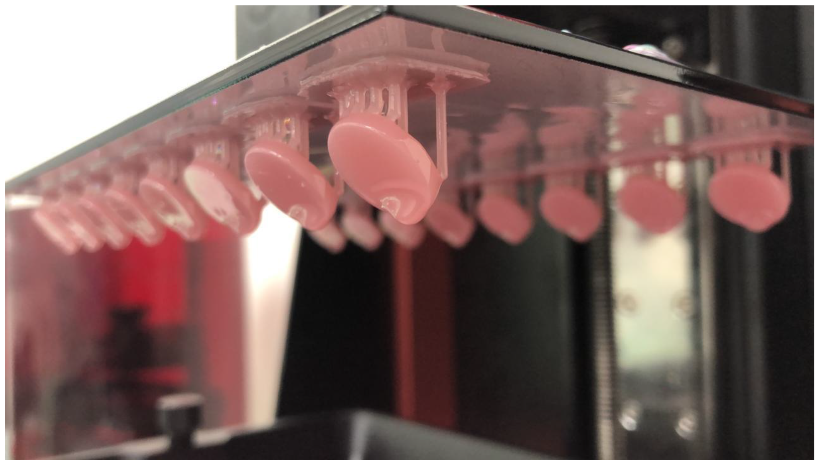 Biomedicines 11 00491 g001